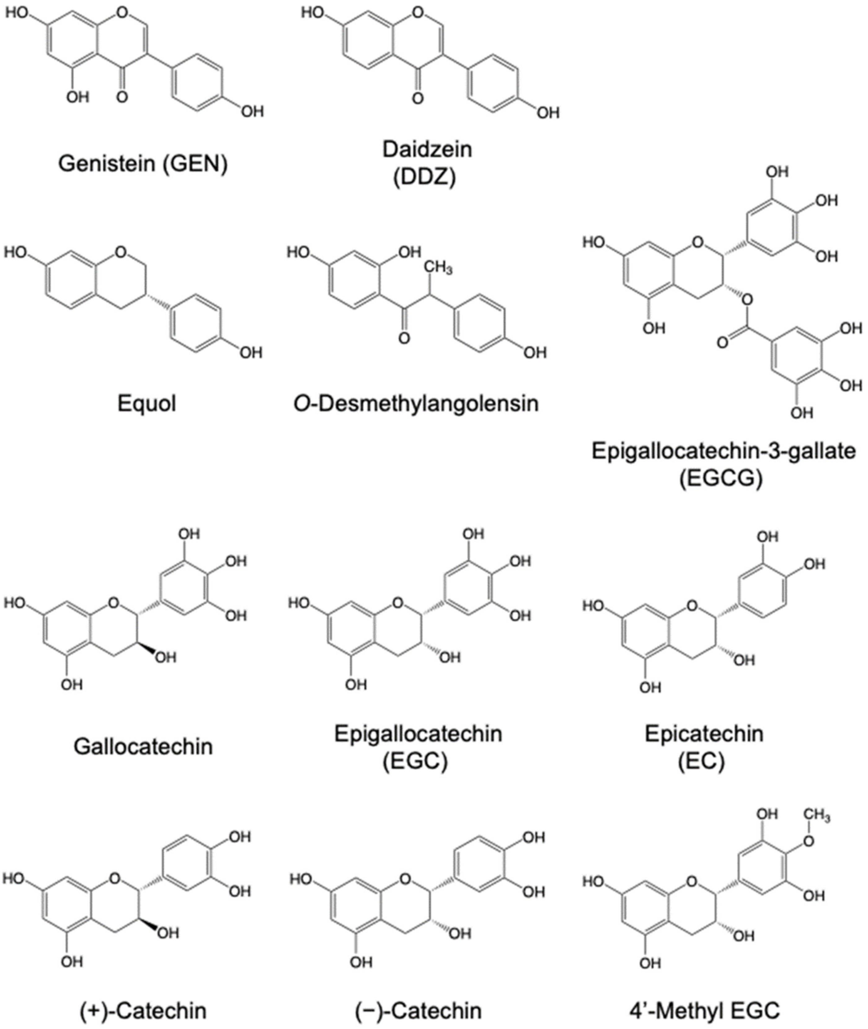 Molecules 27 08899 g001