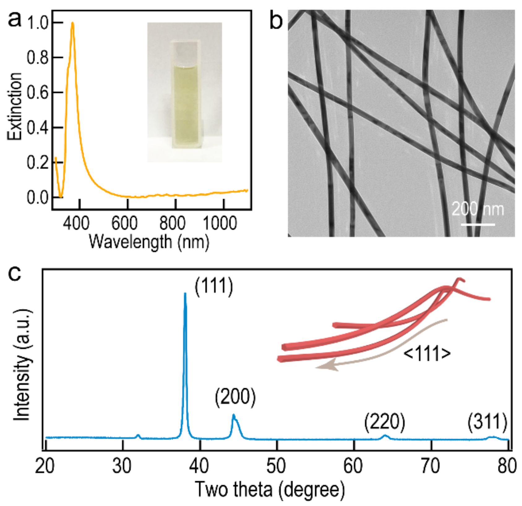 Molecules 27 08907 g001