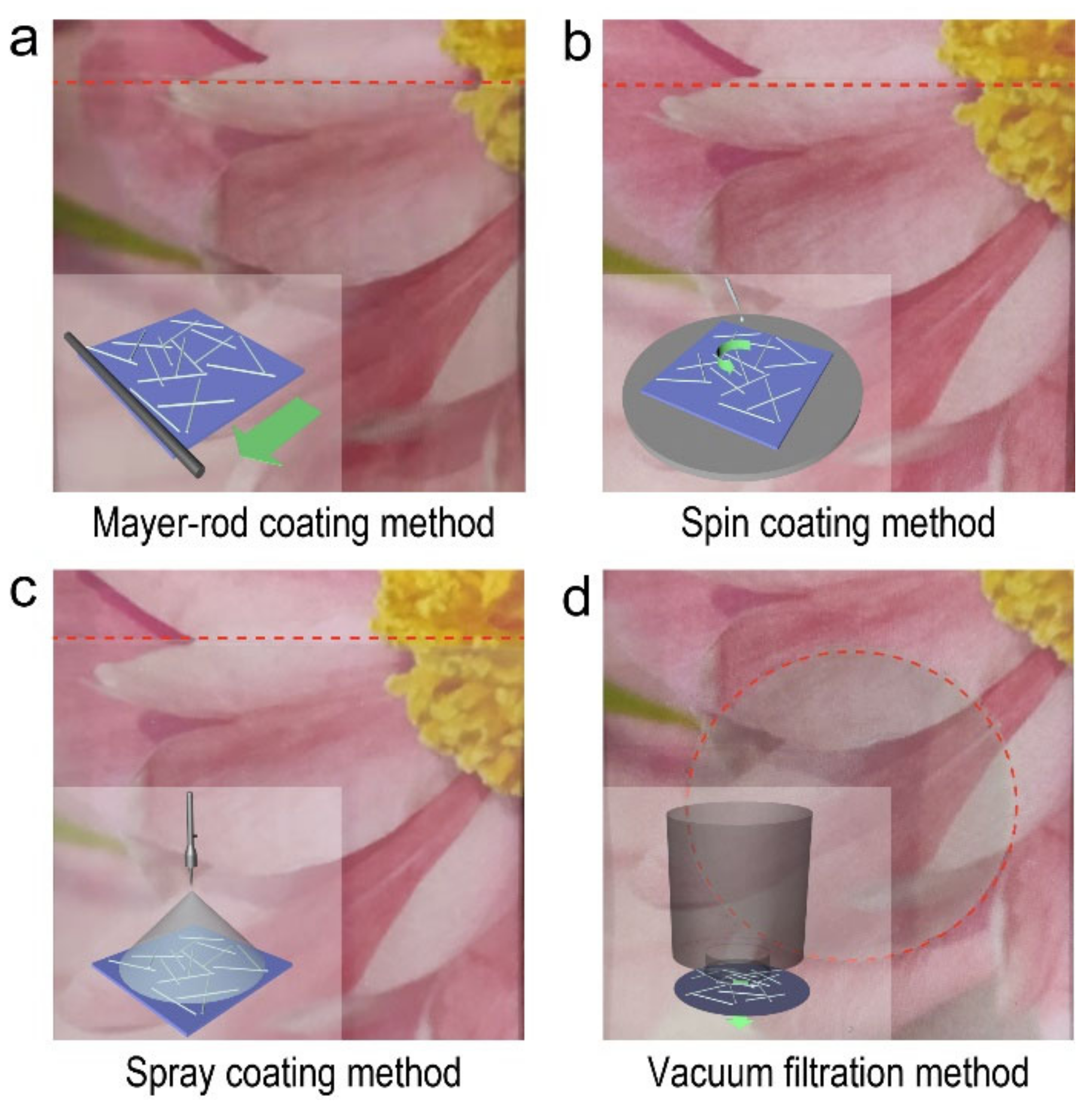 Molecules 27 08907 g002