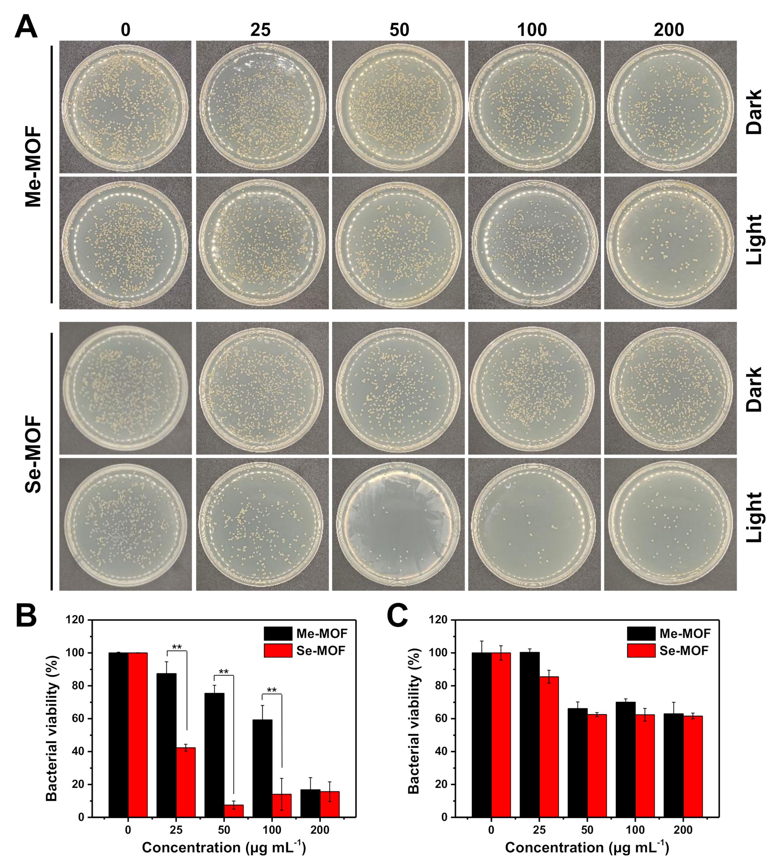 Molecules 27 08908 g004
