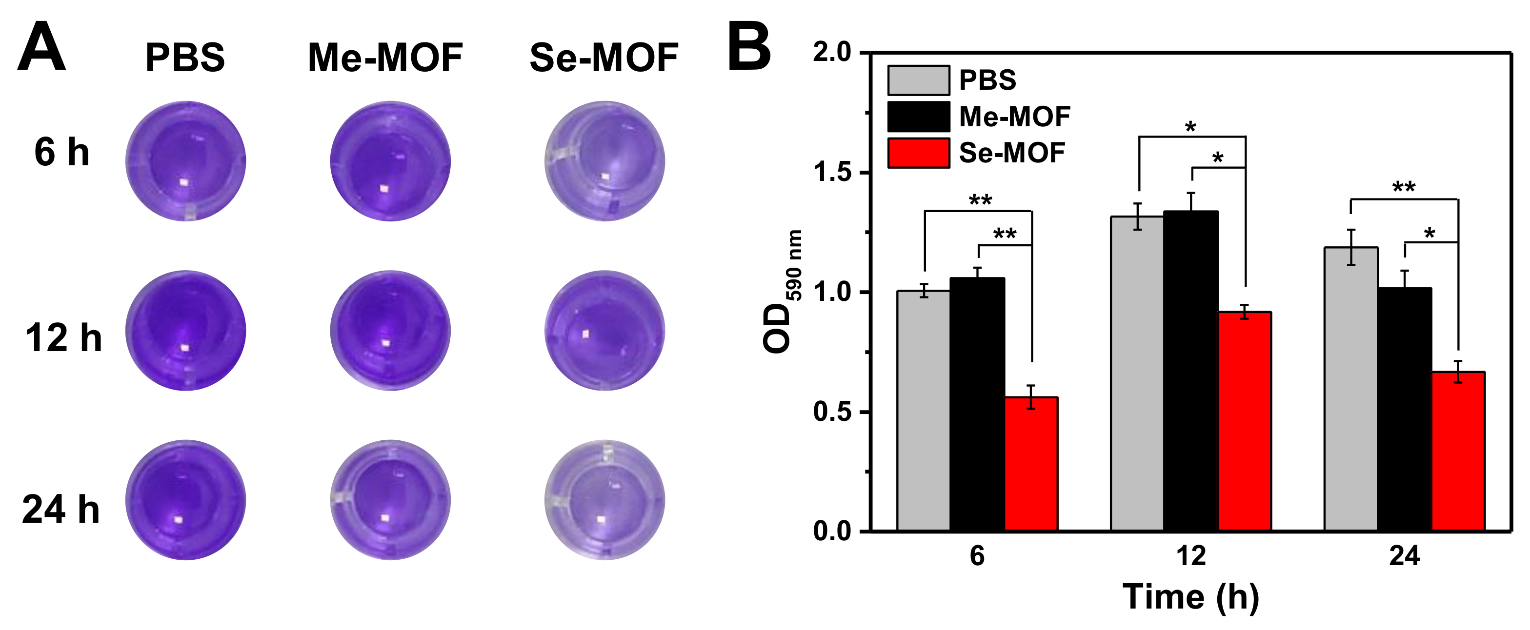 Molecules 27 08908 g005
