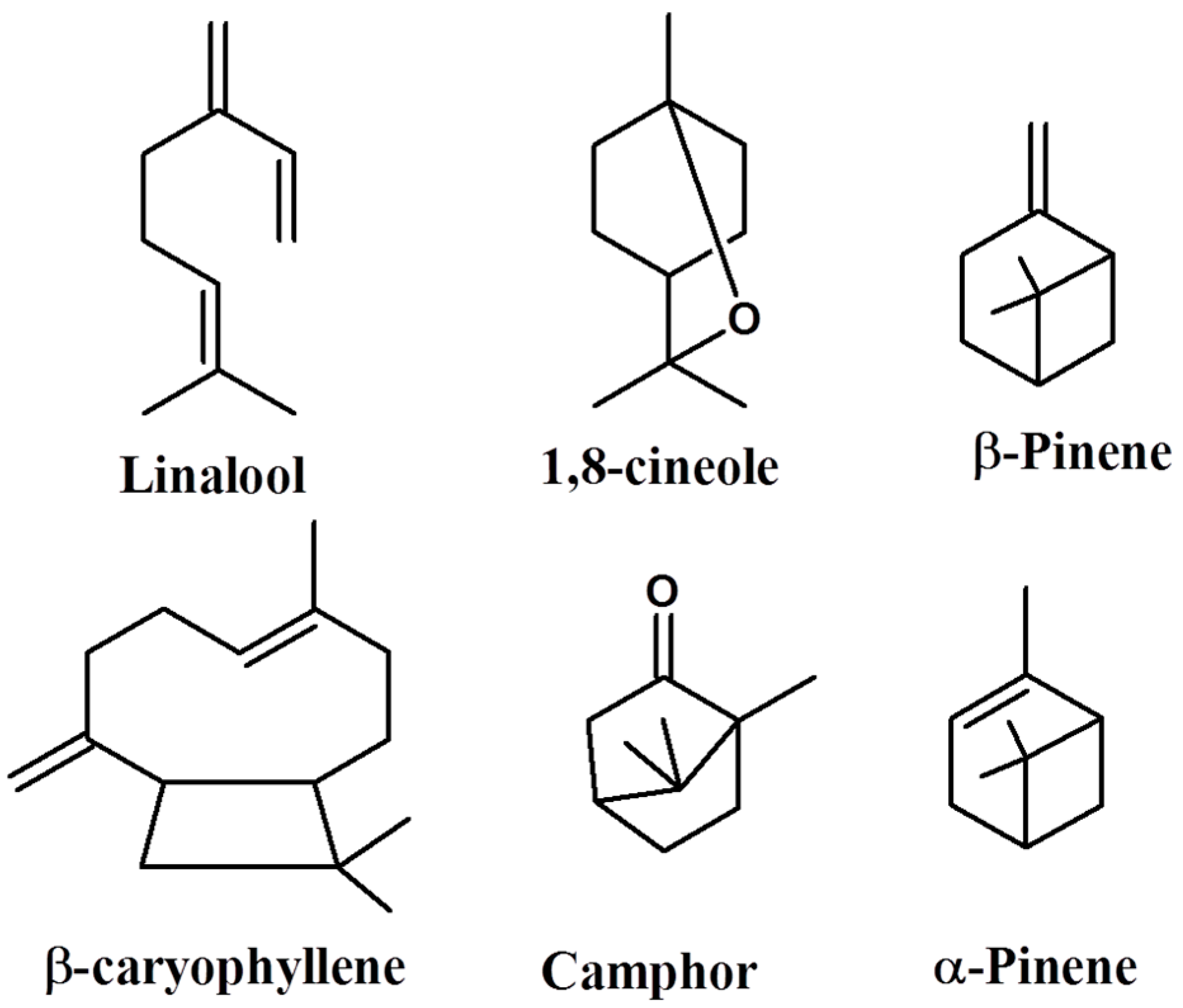 Molecules 27 08910 g001 Molecules 27 08910 g001