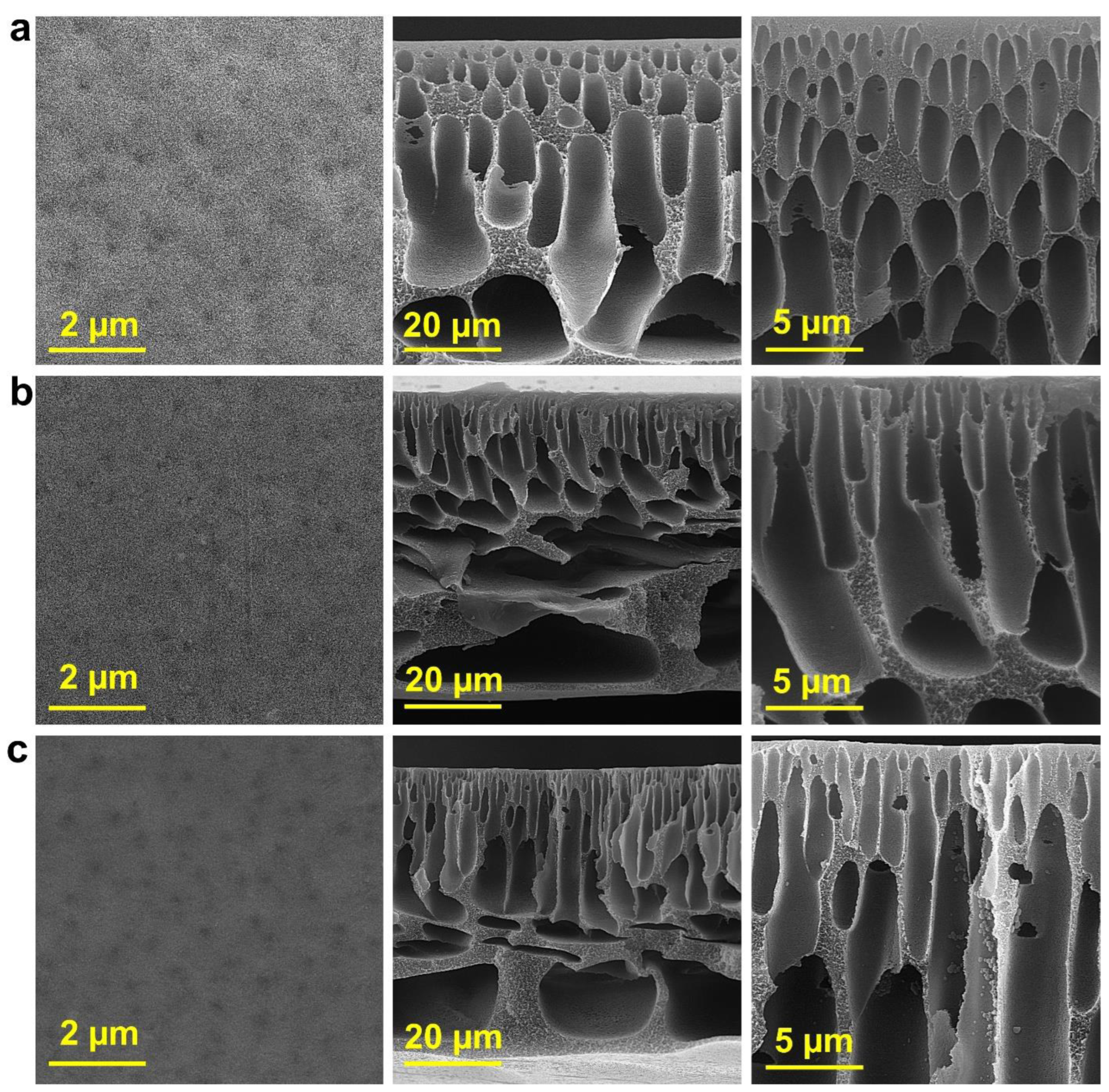 Molecules 27 08914 g002a Molecules 27 08914 g002a