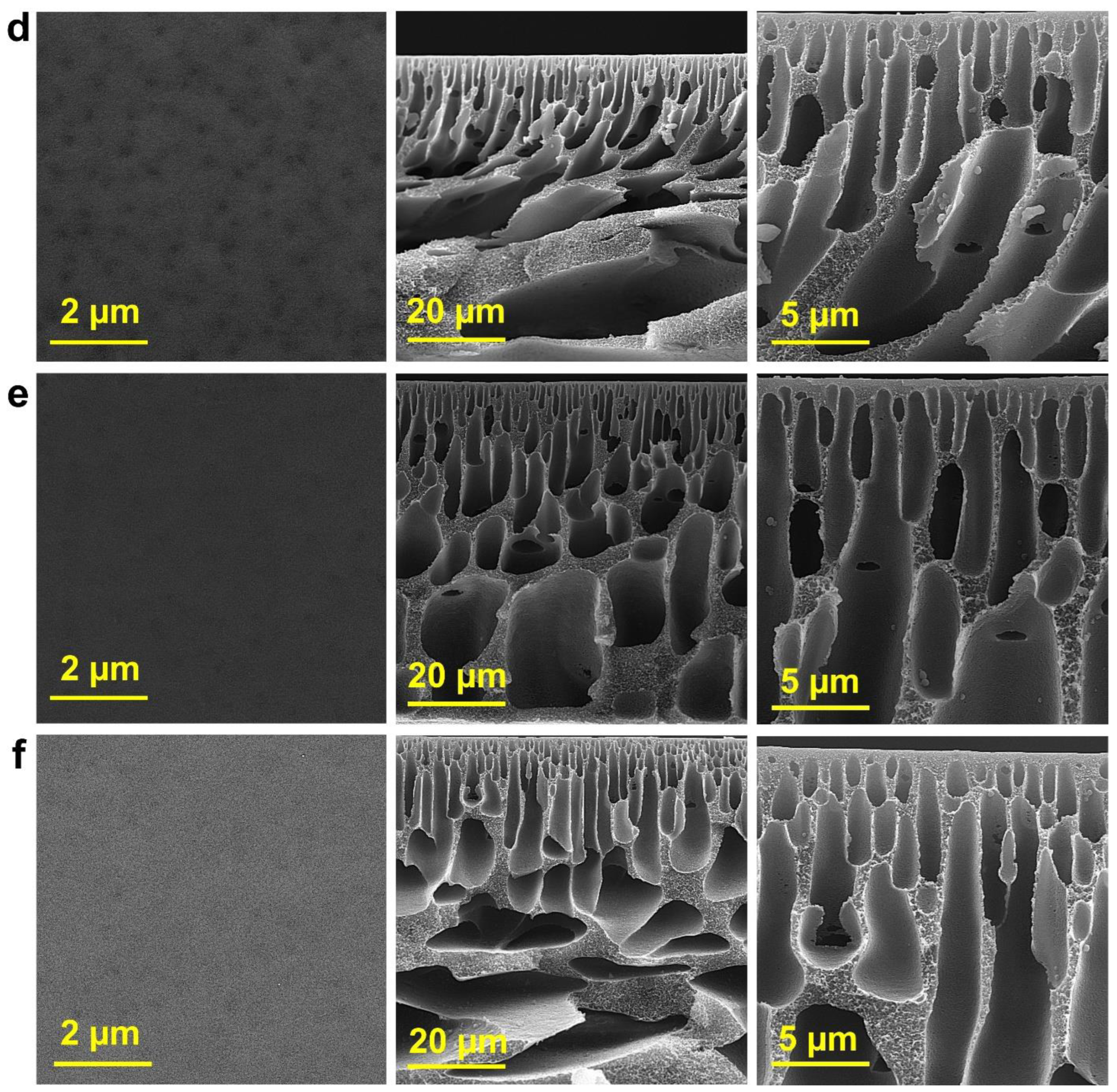 Molecules 27 08914 g002b Molecules 27 08914 g002b