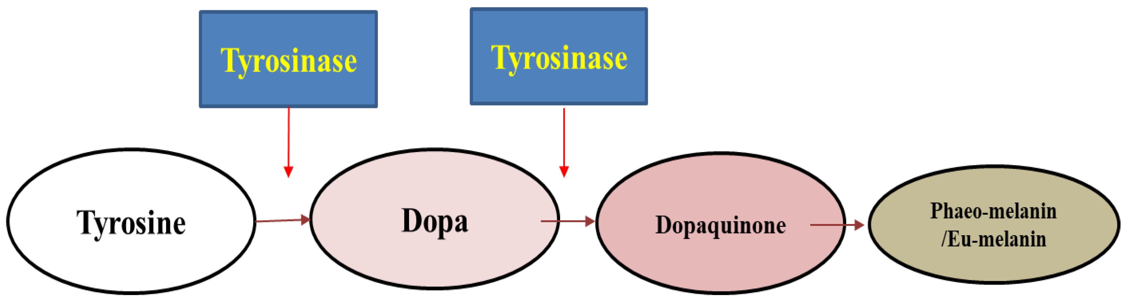 Molecules 27 08915 g001