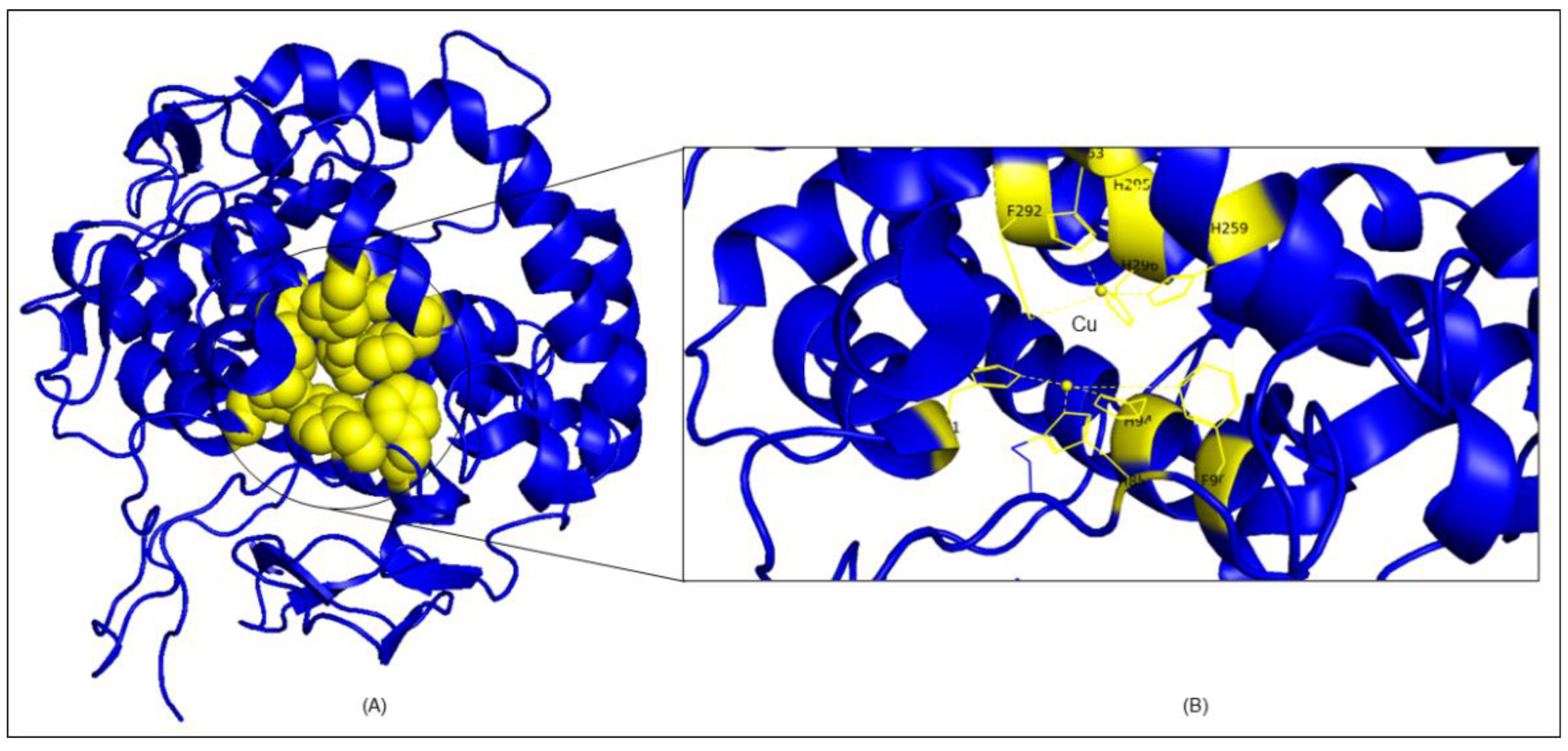 Molecules 27 08915 g007