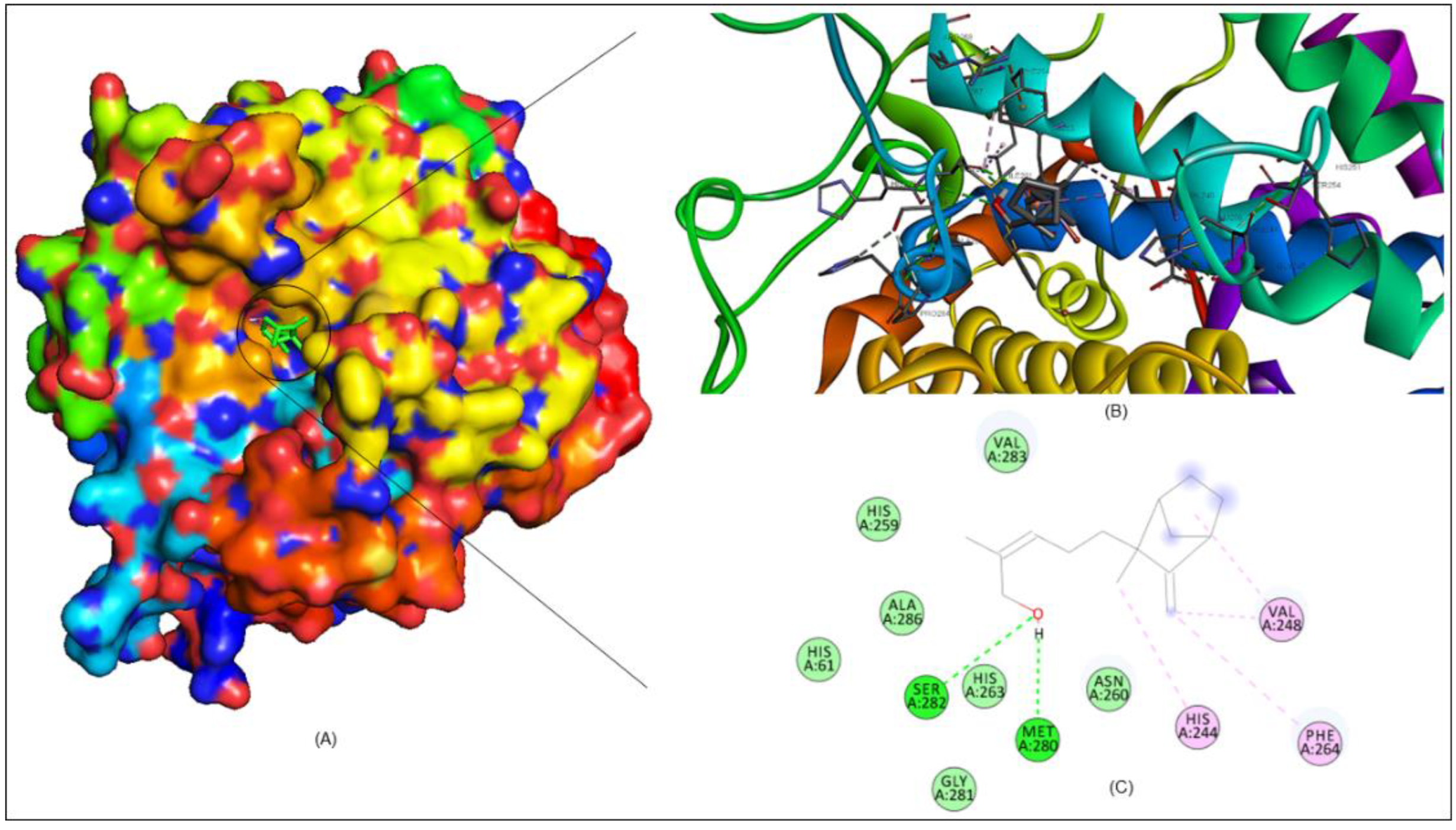 Molecules 27 08915 g008