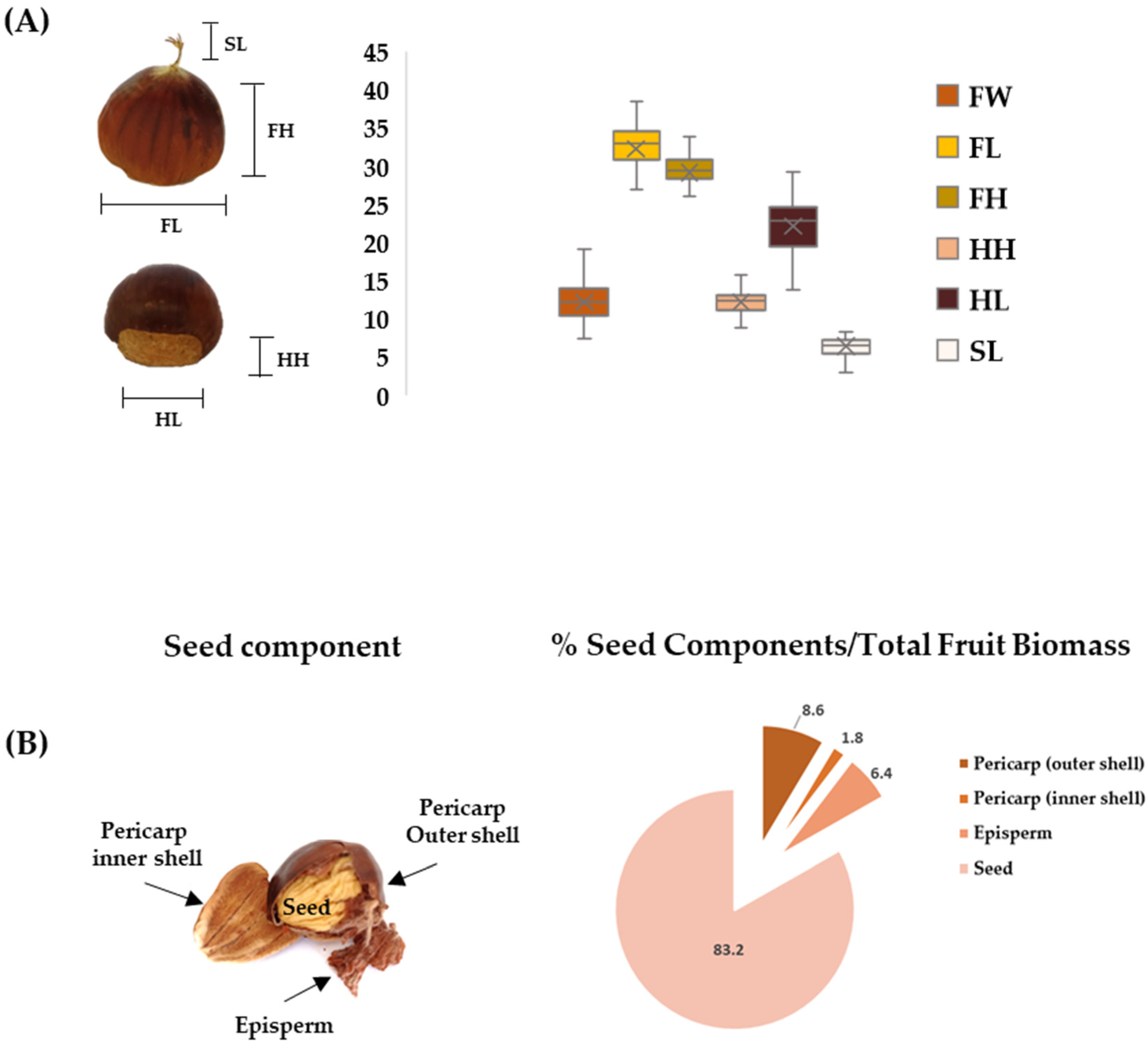 Molecules 27 08924 g001