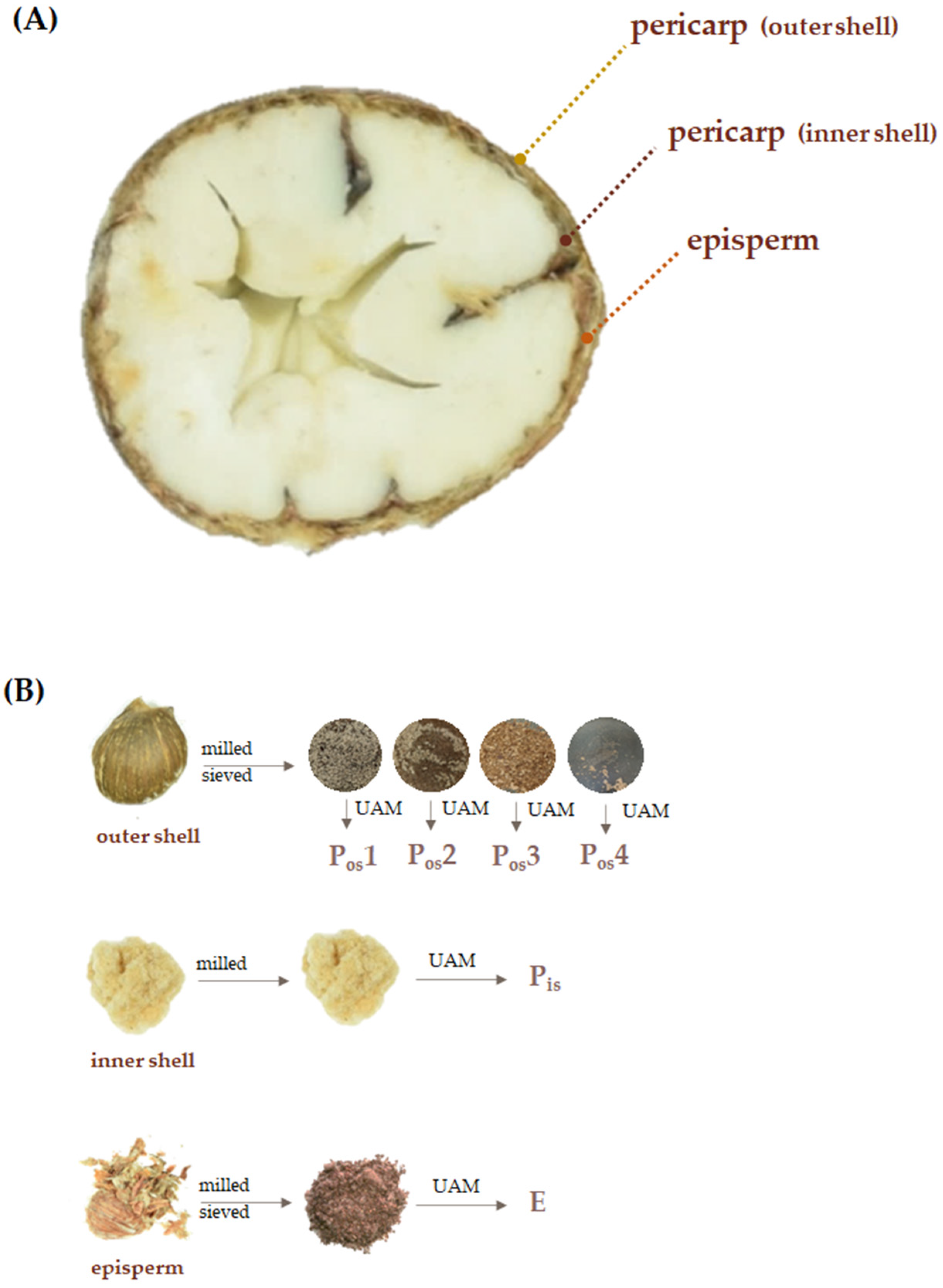 Molecules 27 08924 g002