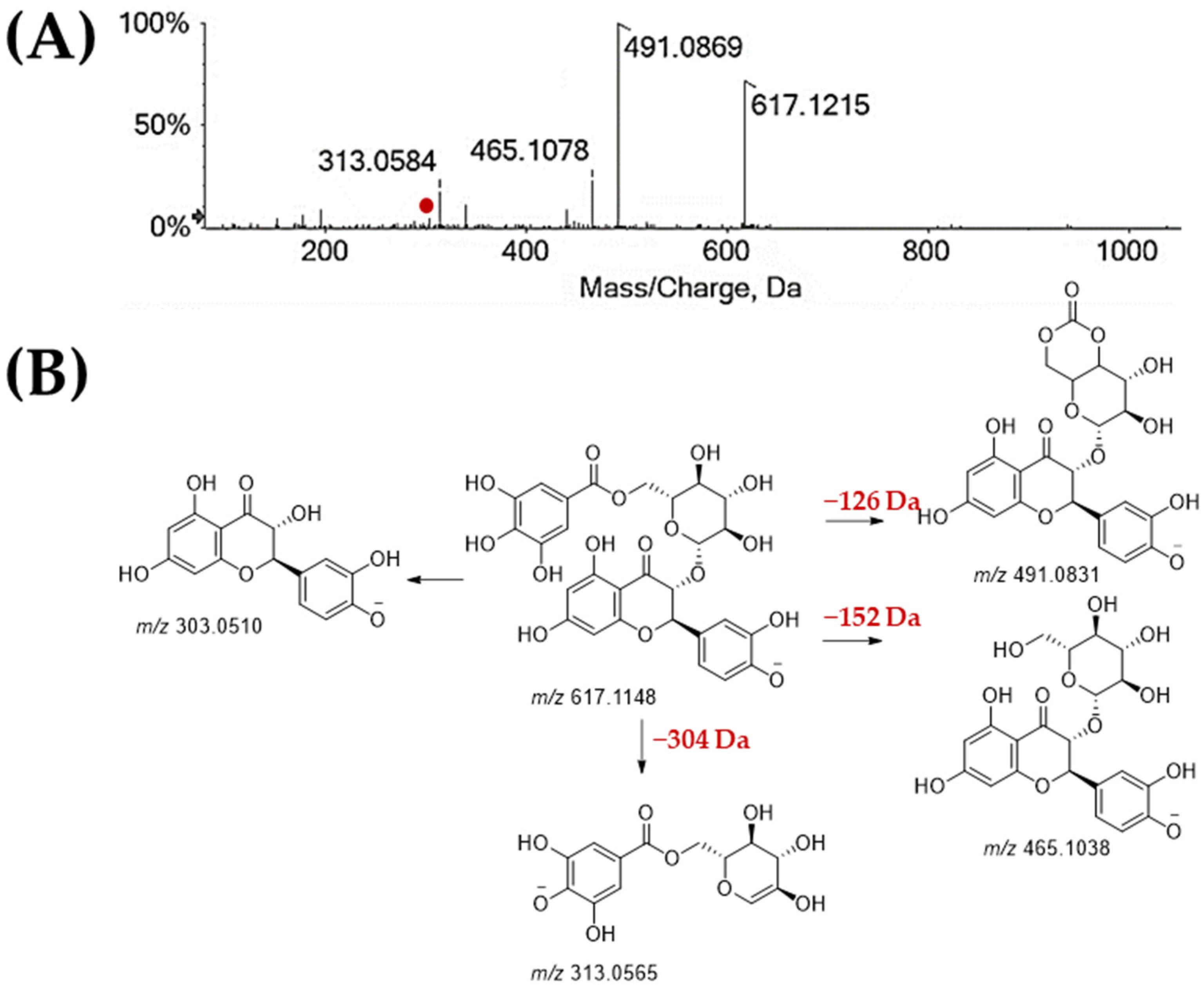 Molecules 27 08924 g006