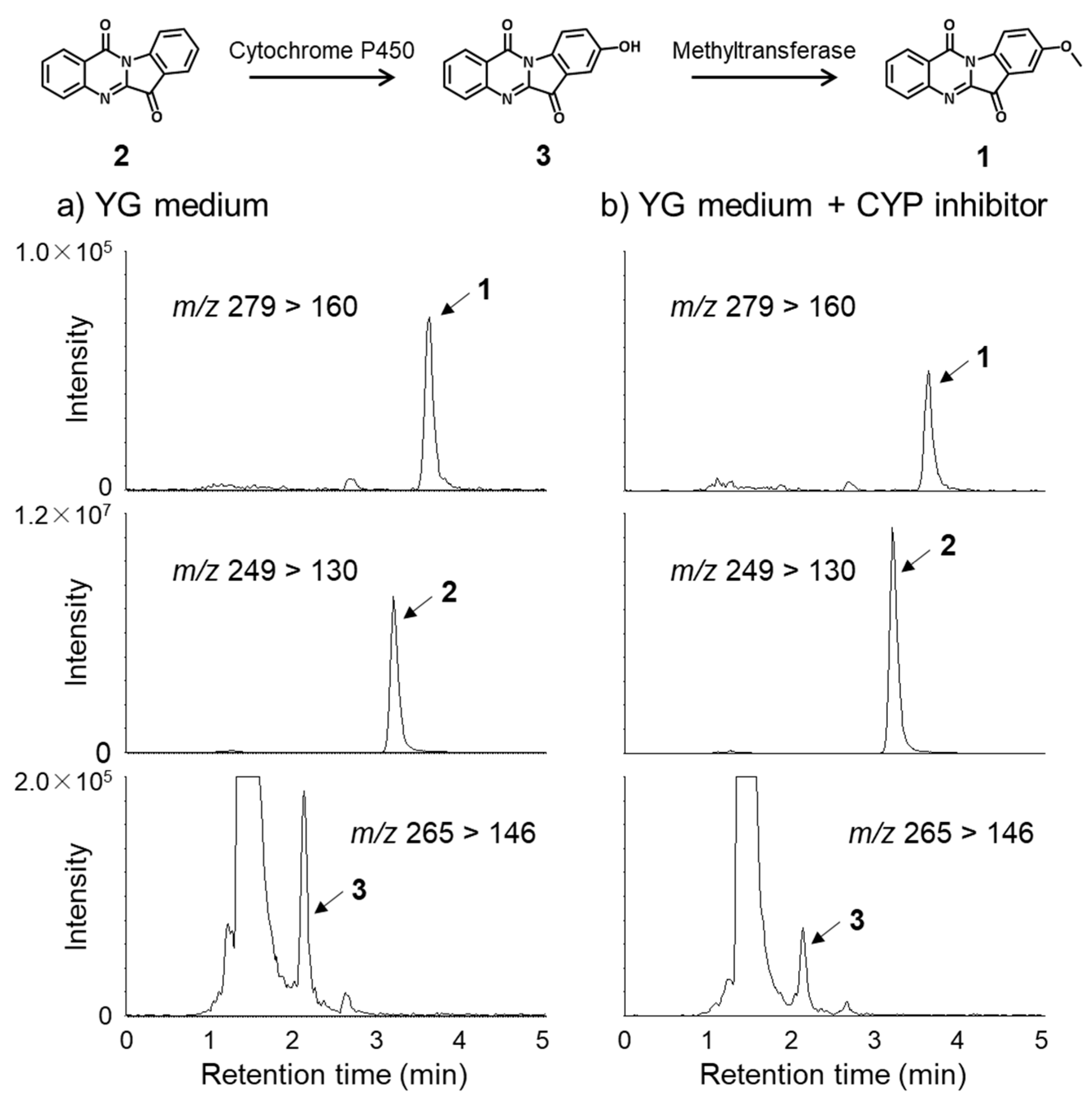 Molecules 27 08925 g004 Molecules 27 08925 g004