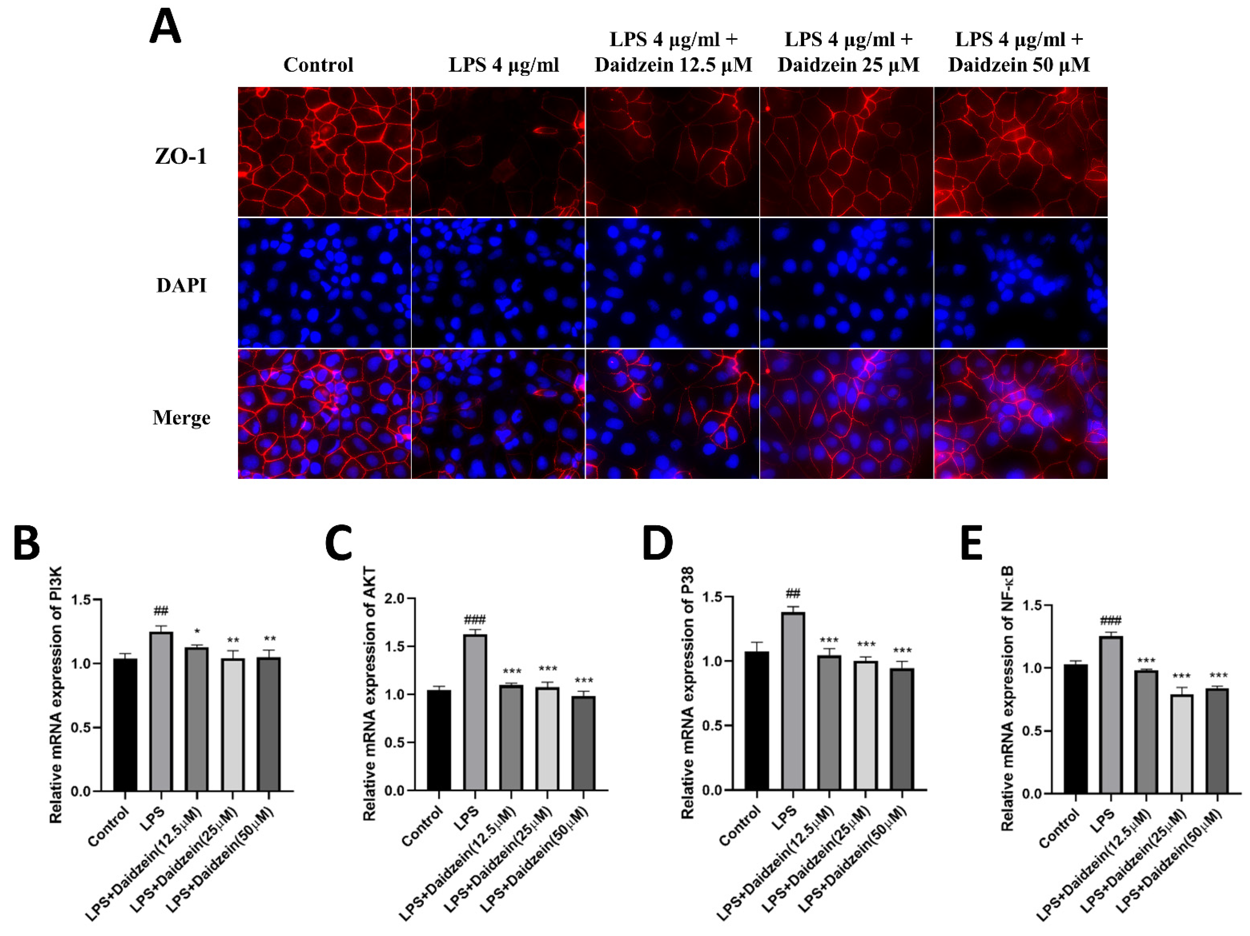 Molecules 27 08928 g004