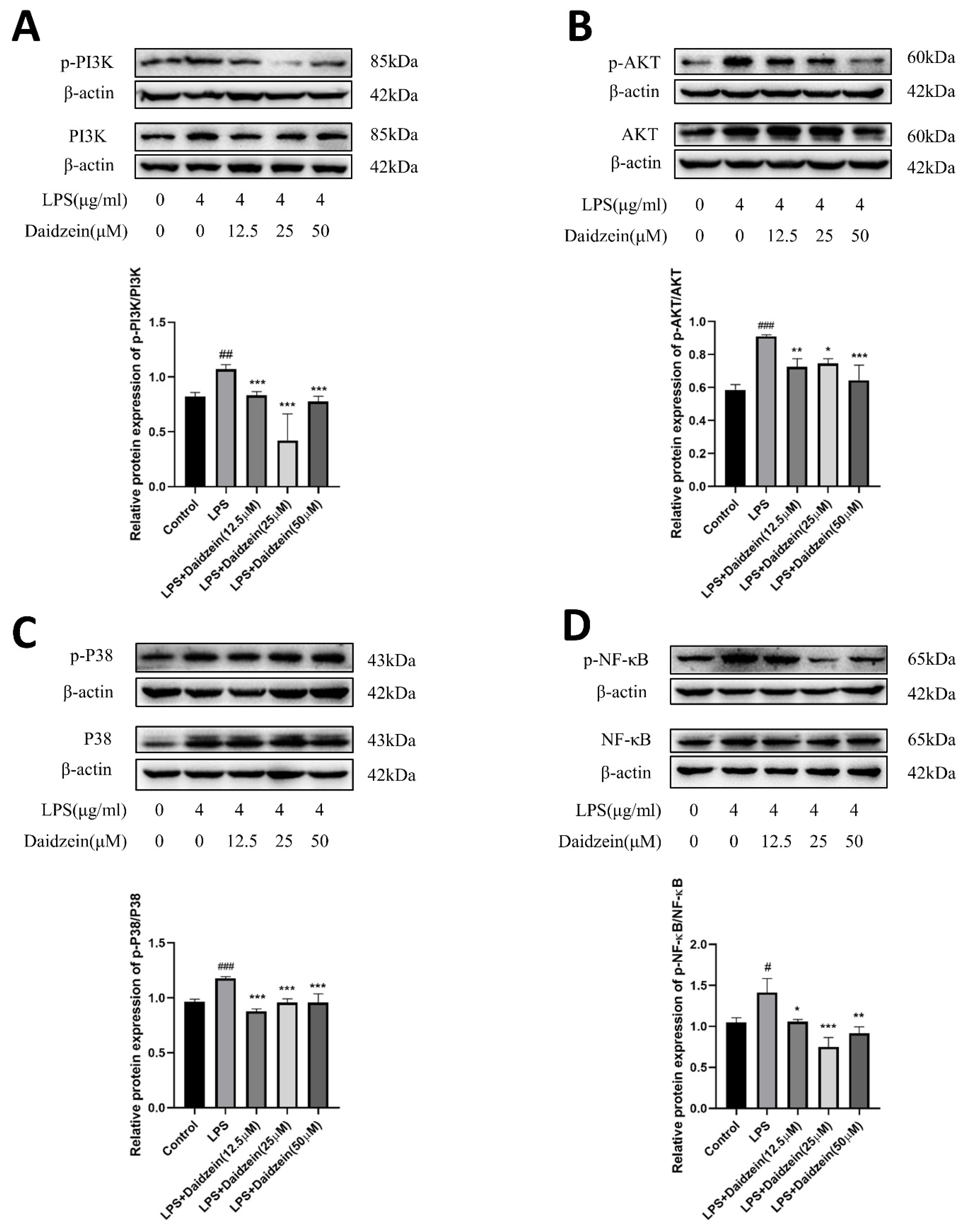 Molecules 27 08928 g005
