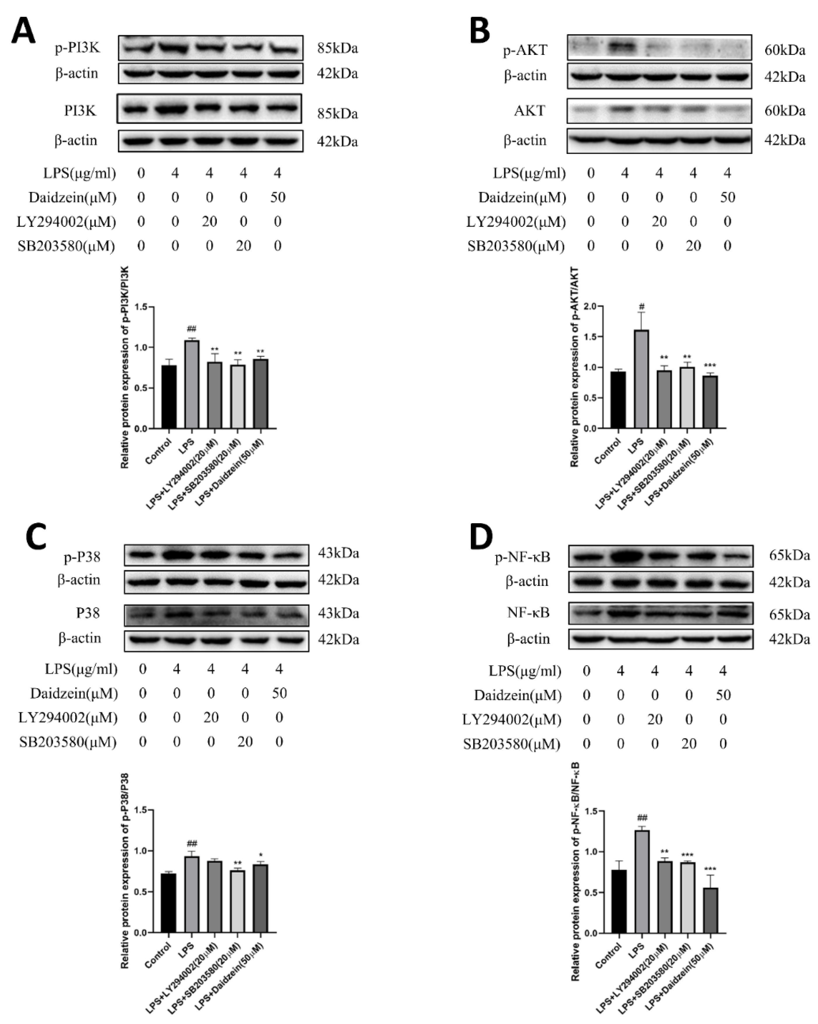 Molecules 27 08928 g006
