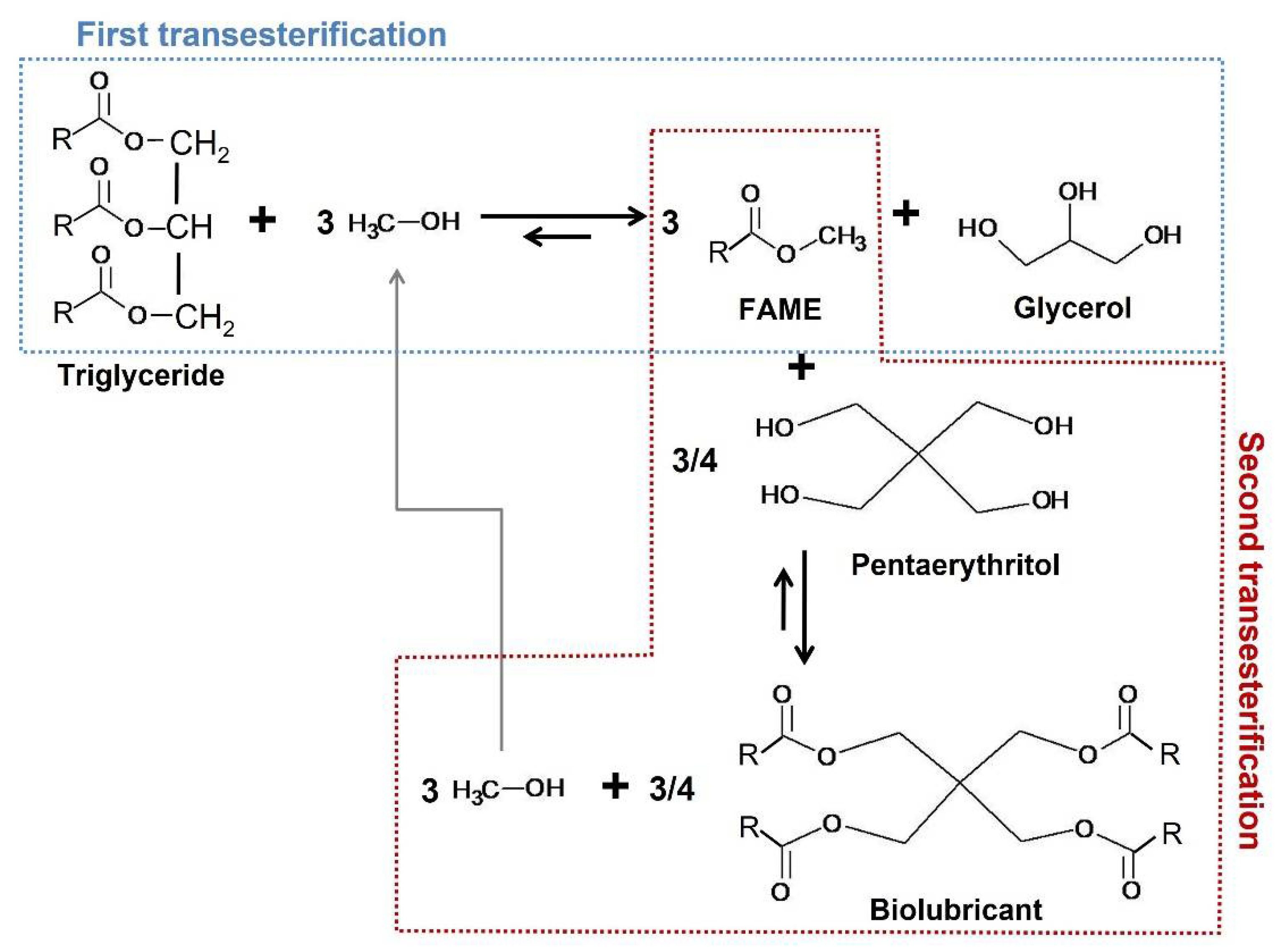Molecules 27 08931 g001
