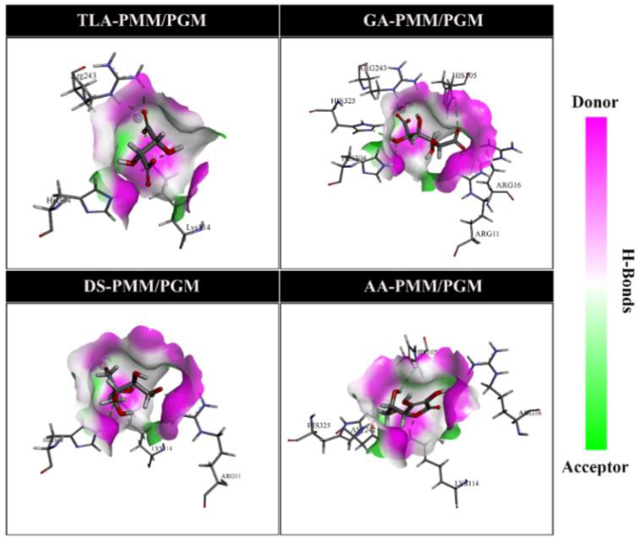 Molecules 27 08935 g005