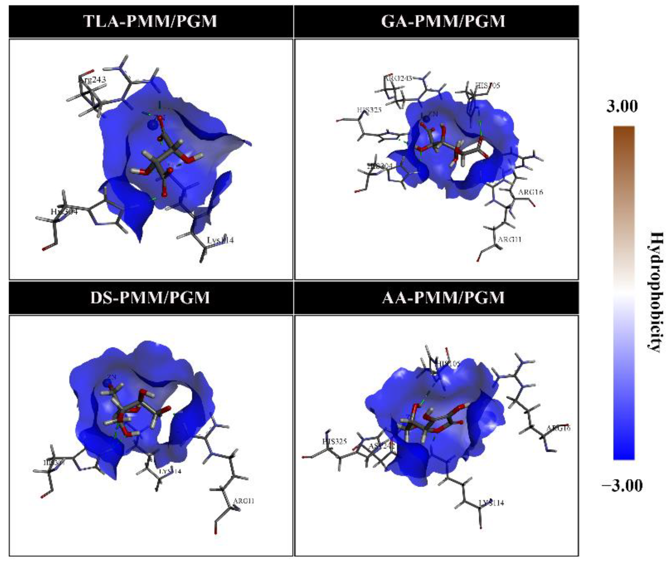 Molecules 27 08935 g006