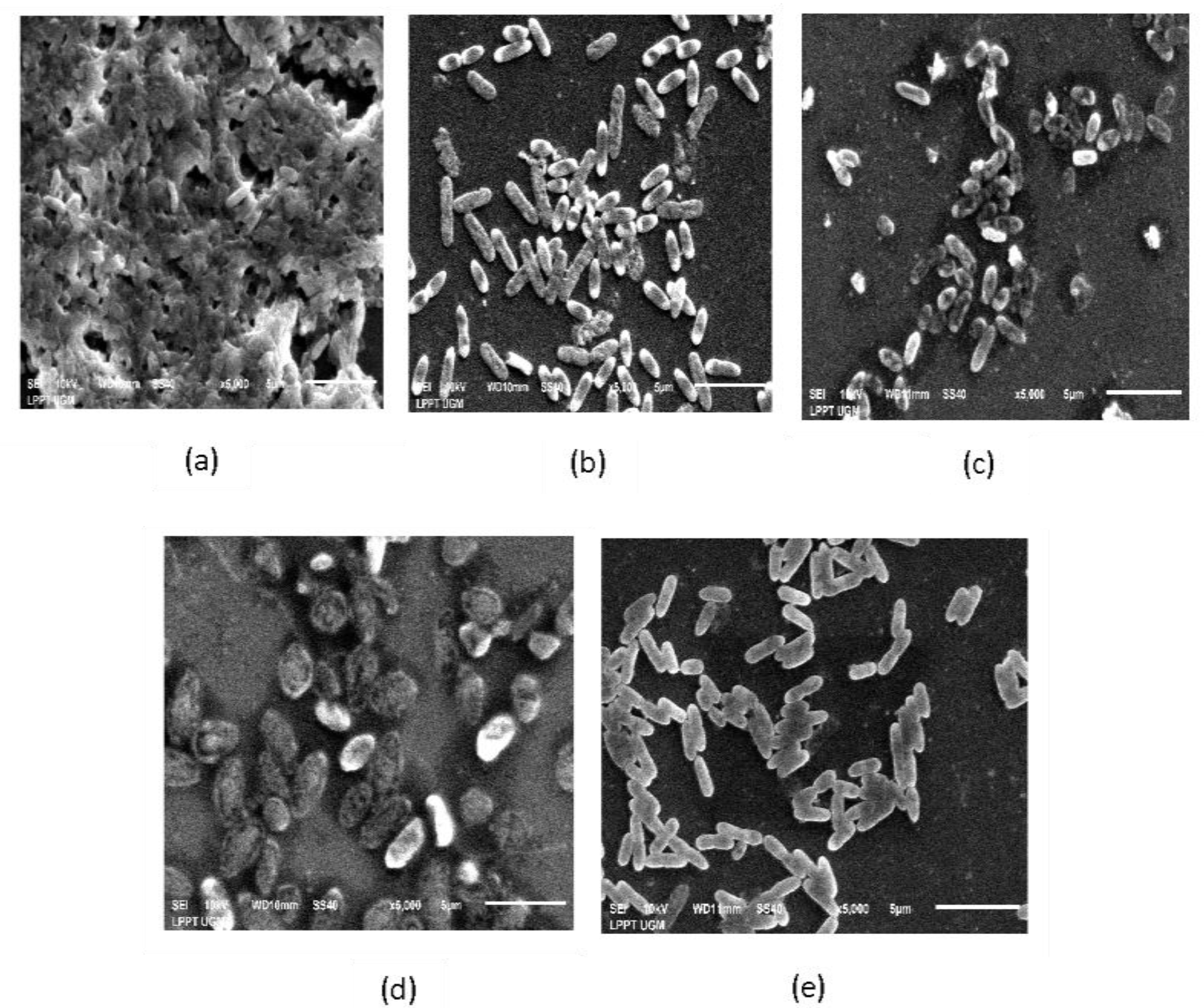 Molecules 27 08935 g010