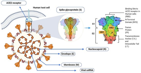 Molecules 27 08938 g001