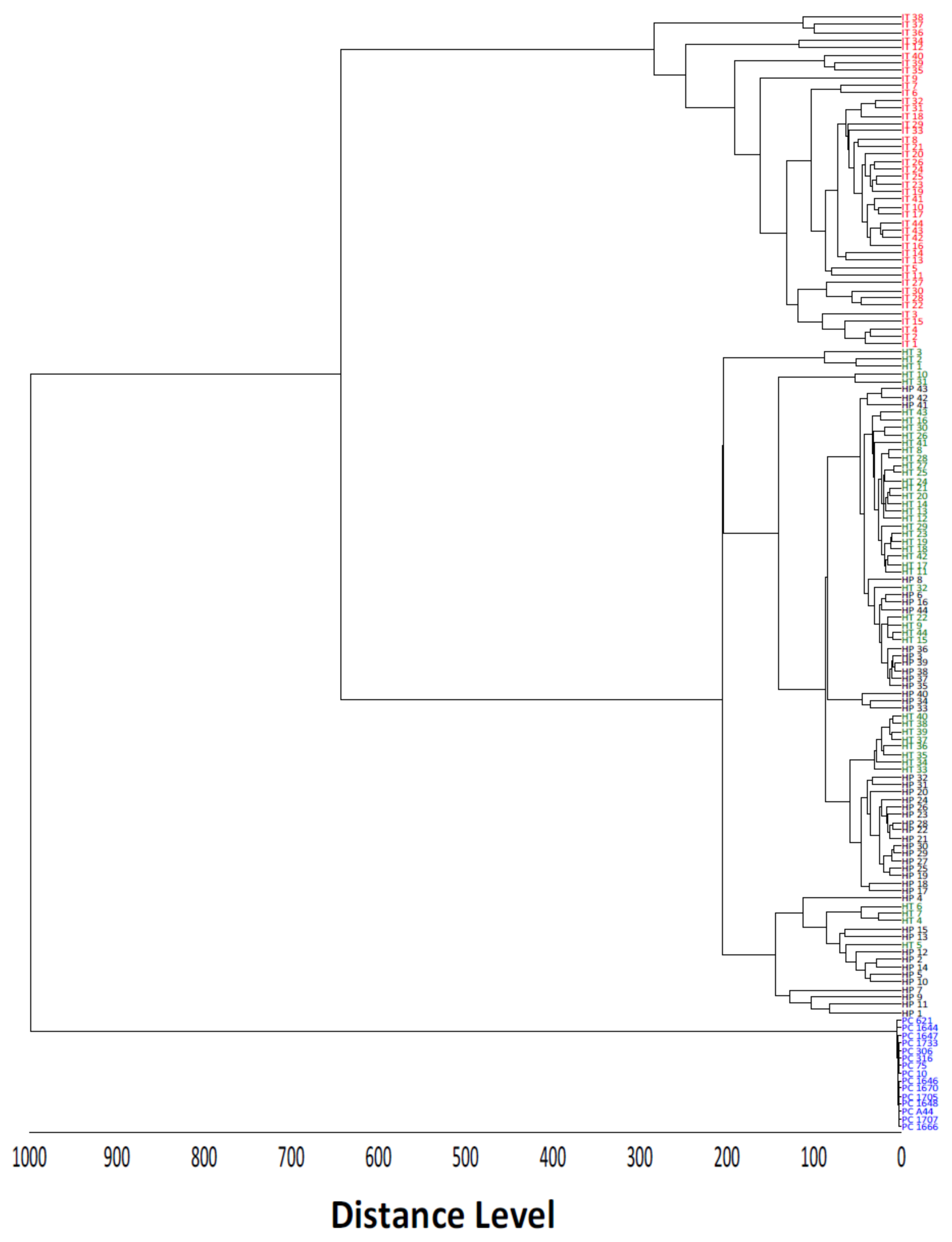 Molecules 27 08947 g004 Molecules 27 08947 g004