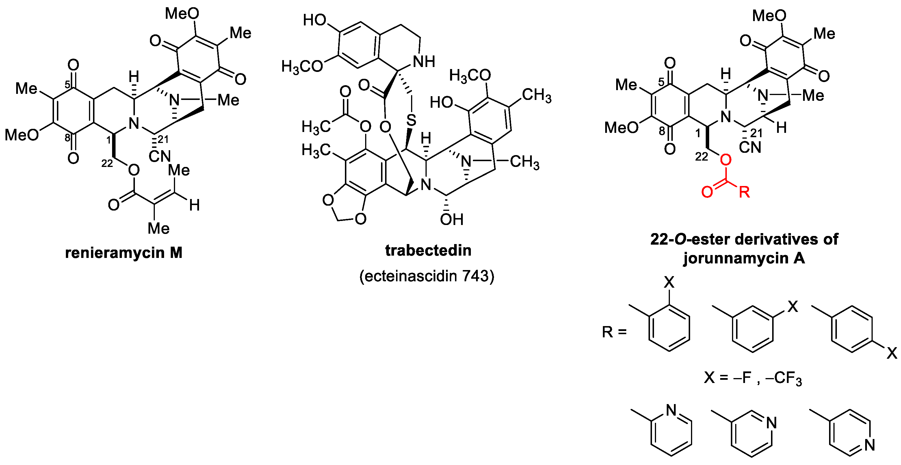 Molecules 27 08948 g001