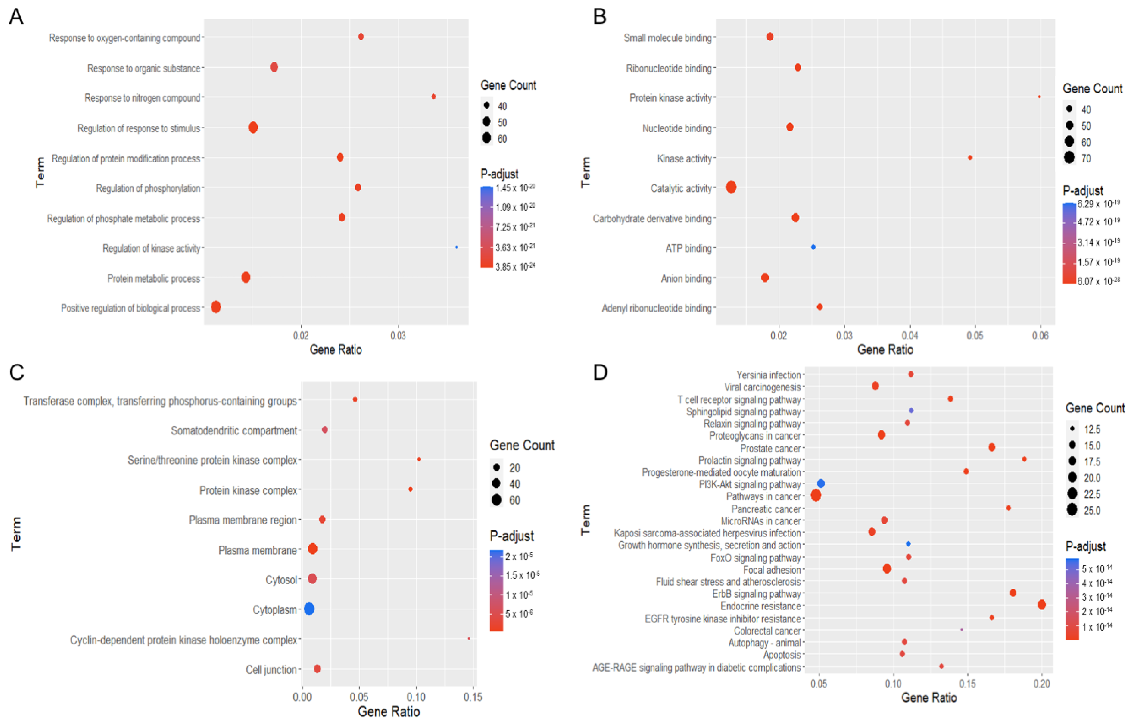 Molecules 27 08948 g006