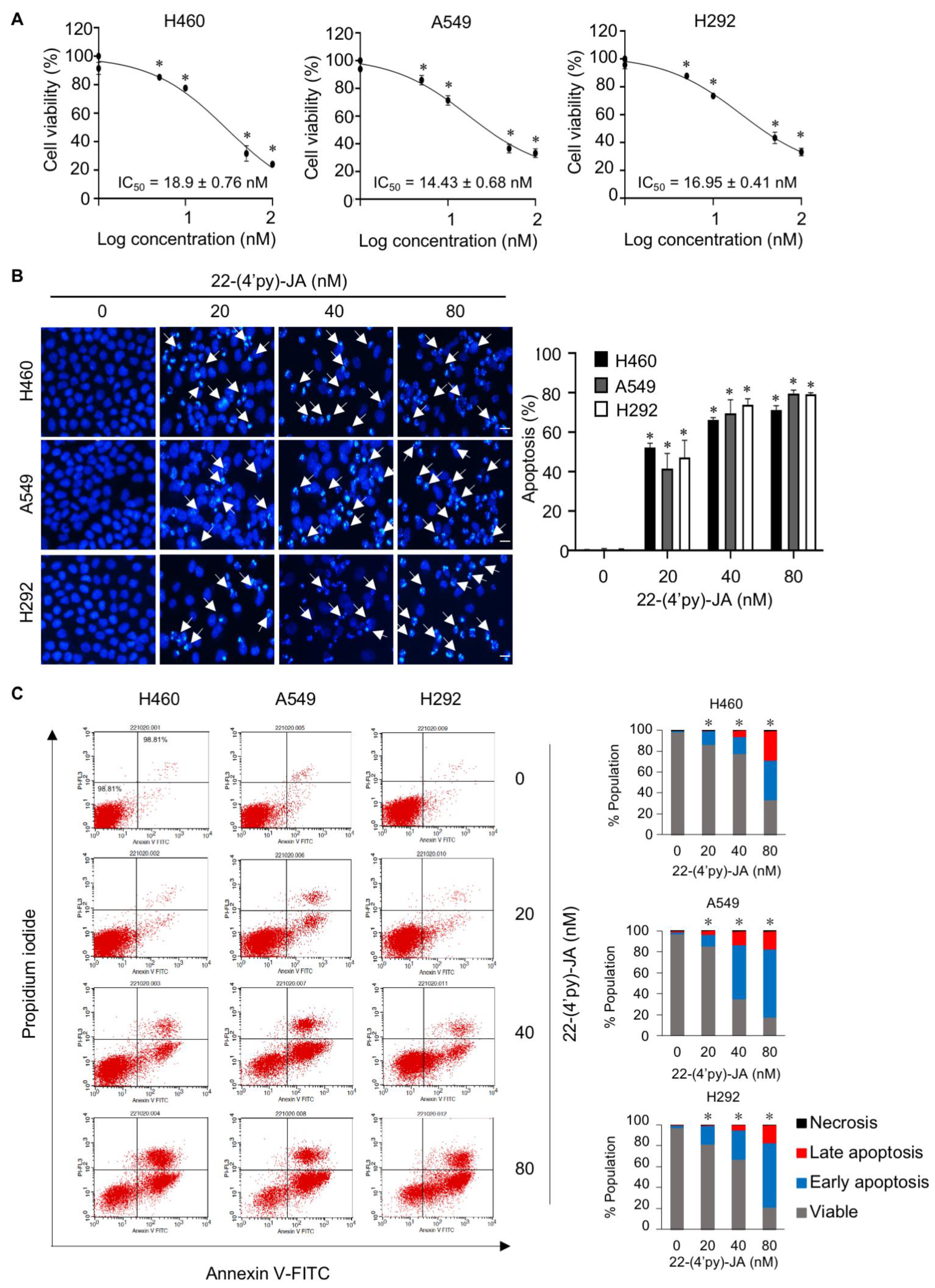 Molecules 27 08948 g008