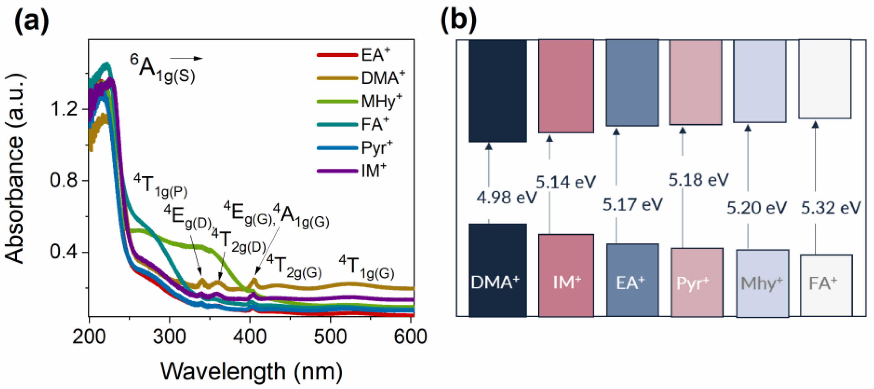 Molecules 27 08953 g003 Molecules 27 08953 g003