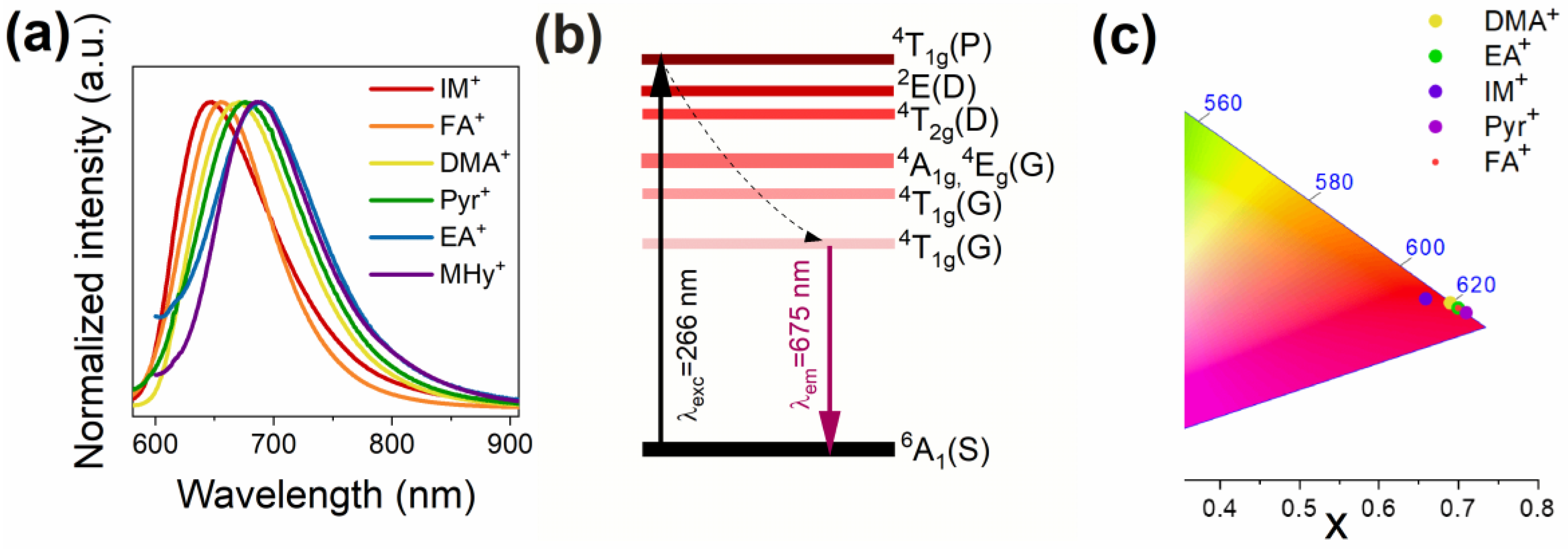 Molecules 27 08953 g004 Molecules 27 08953 g004