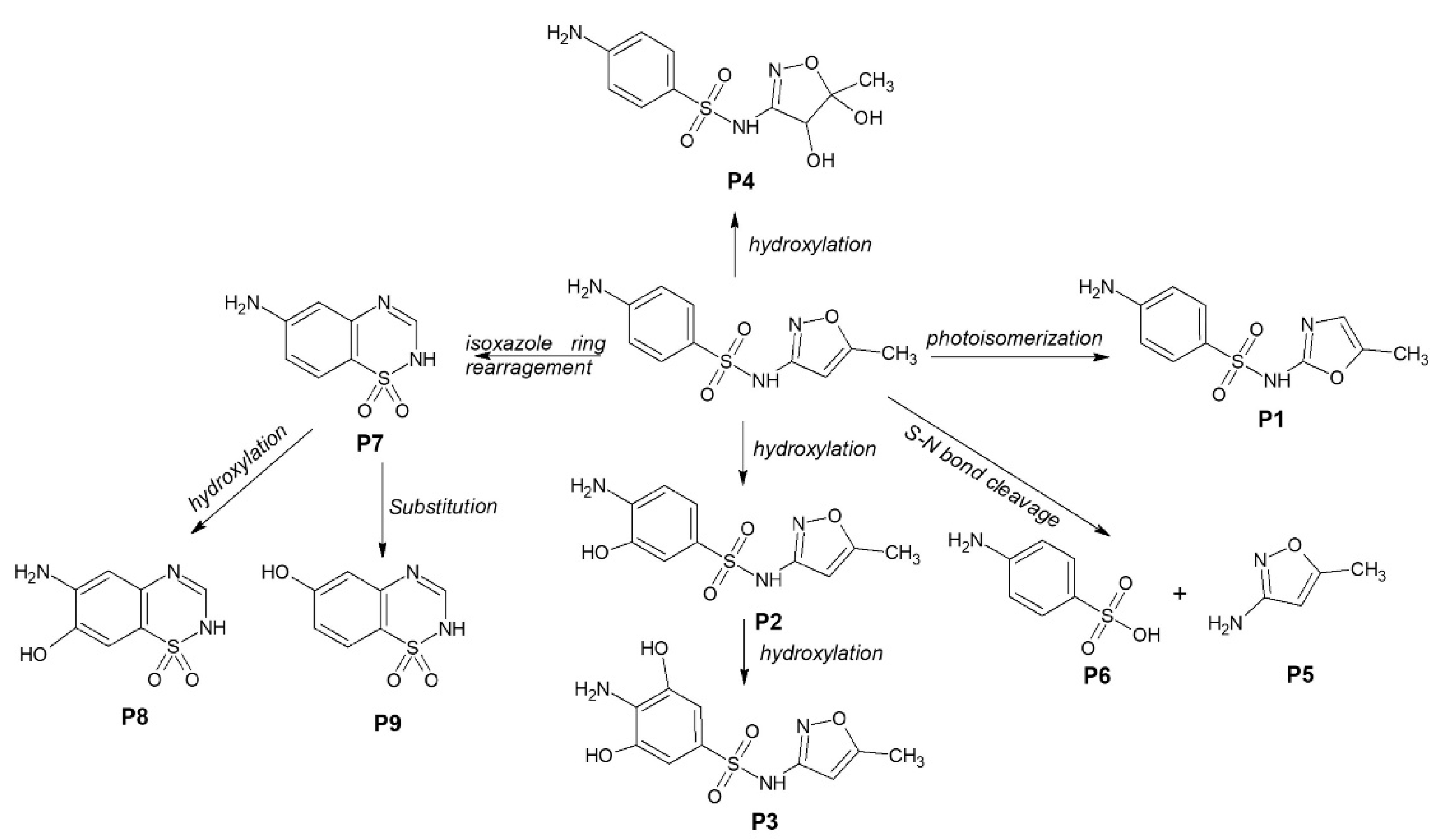 Molecules 27 08959 g005
