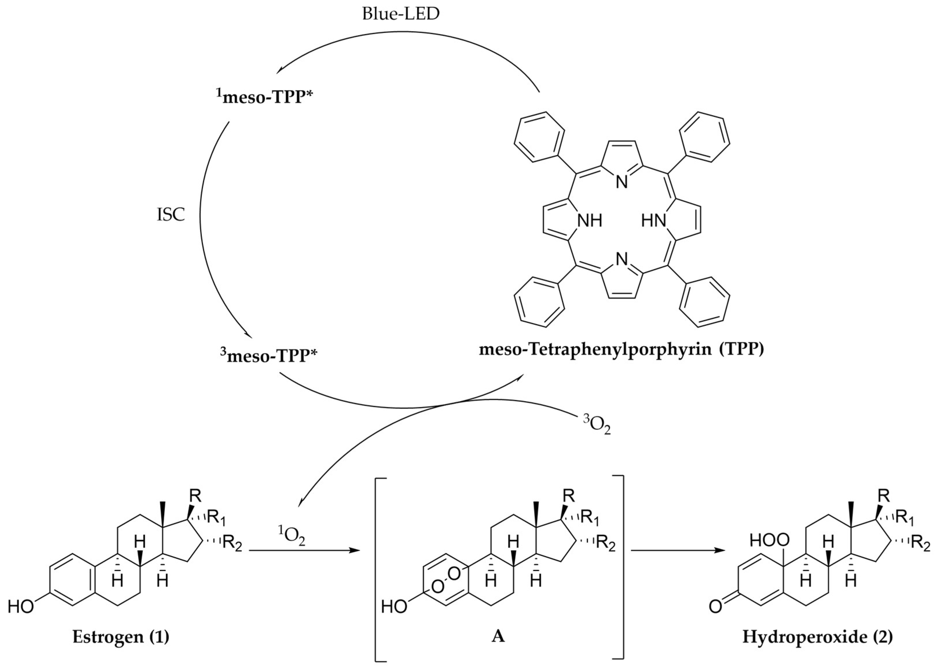 Molecules 27 08961 sch002
