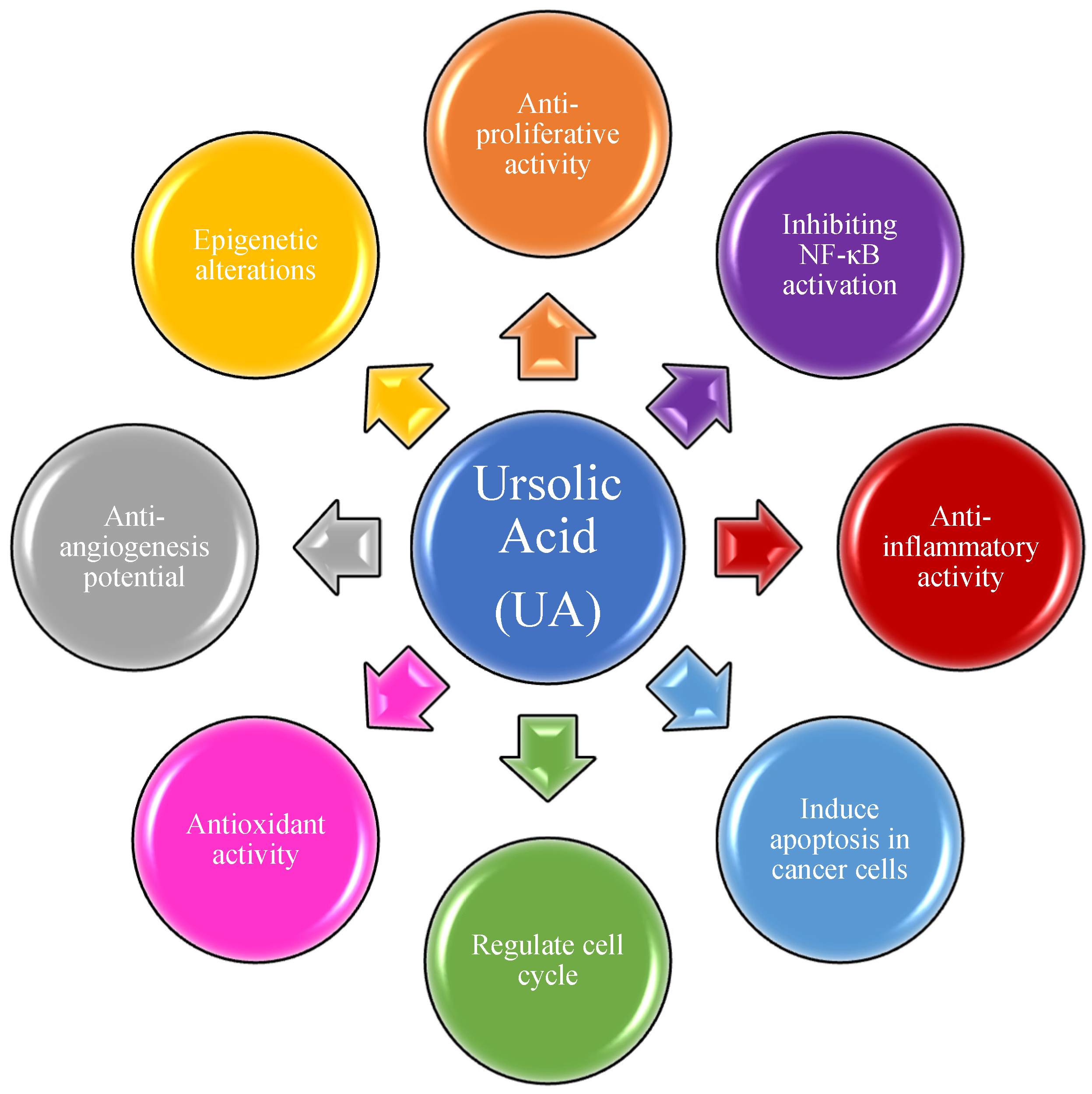 Molecules 27 08981 g001