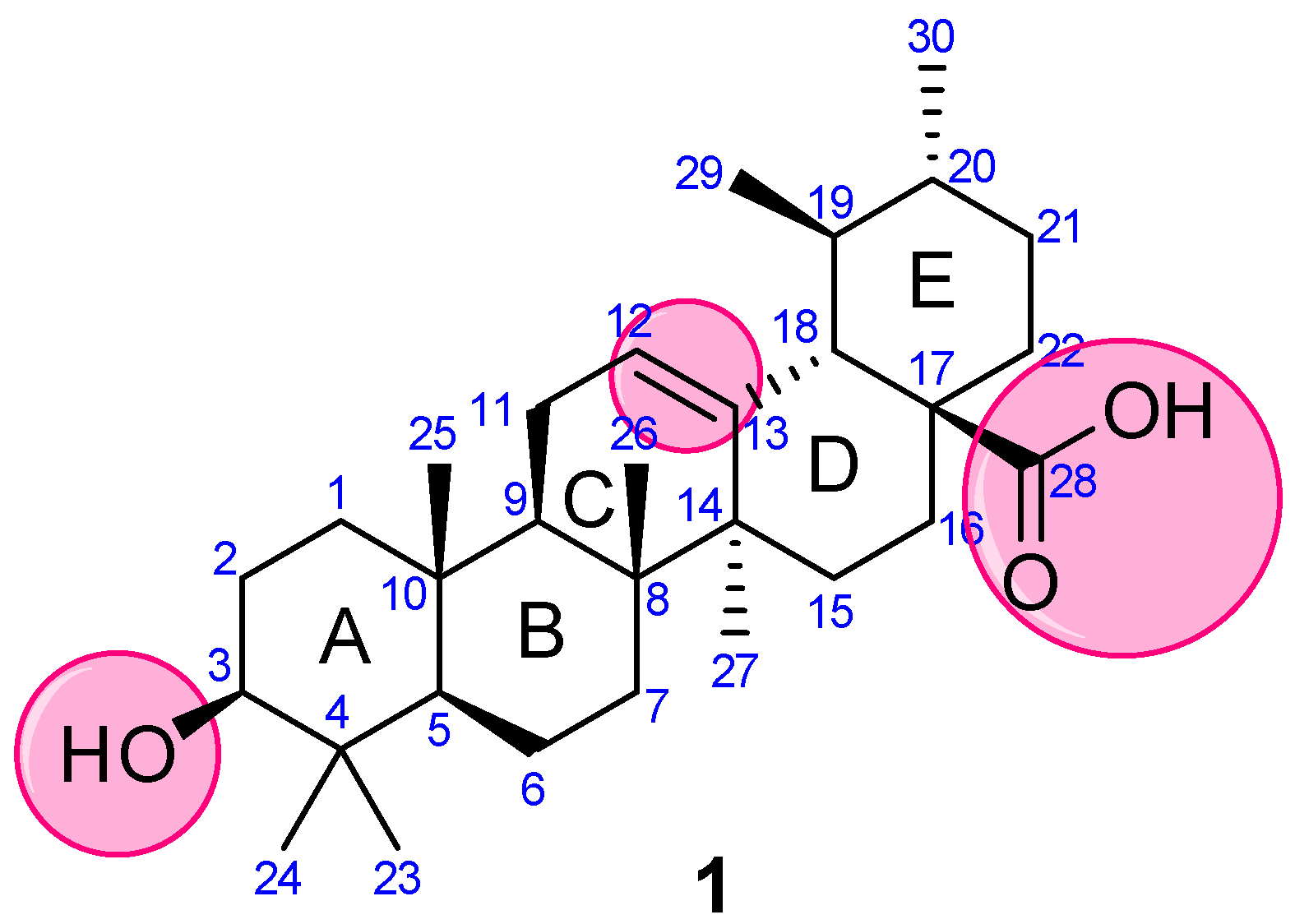Molecules 27 08981 g002