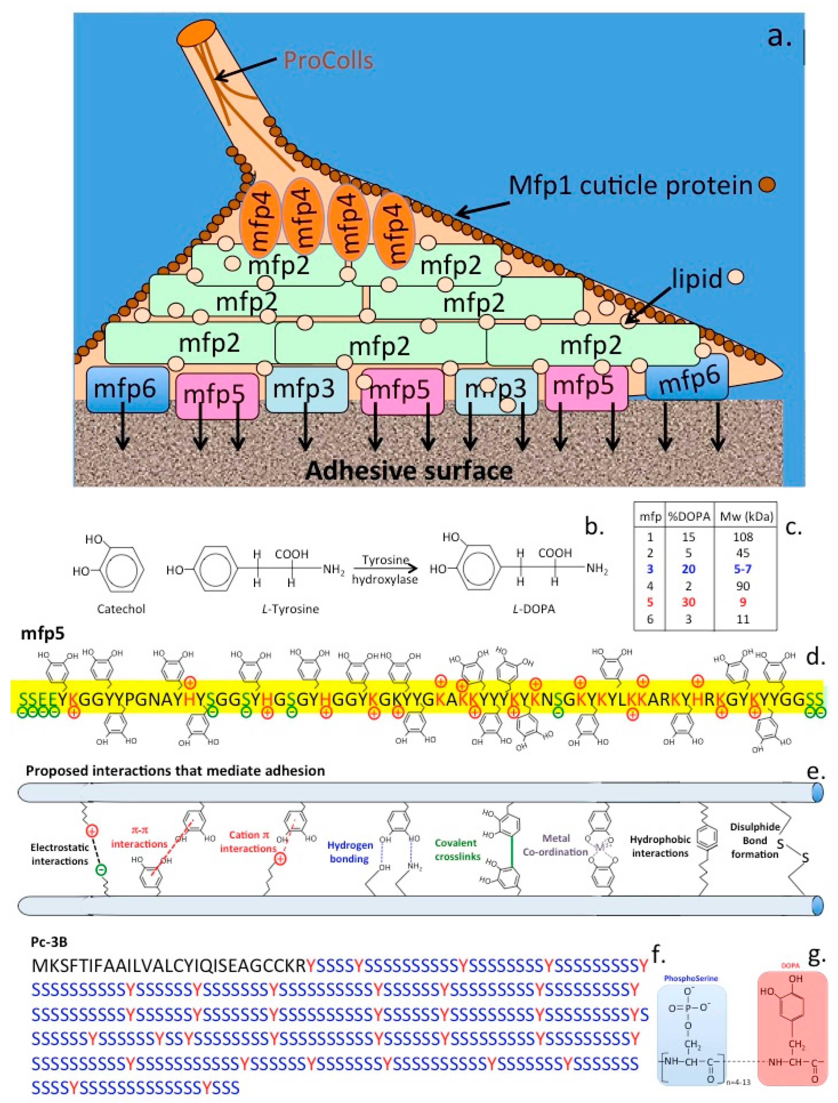 Molecules 27 08982 g005