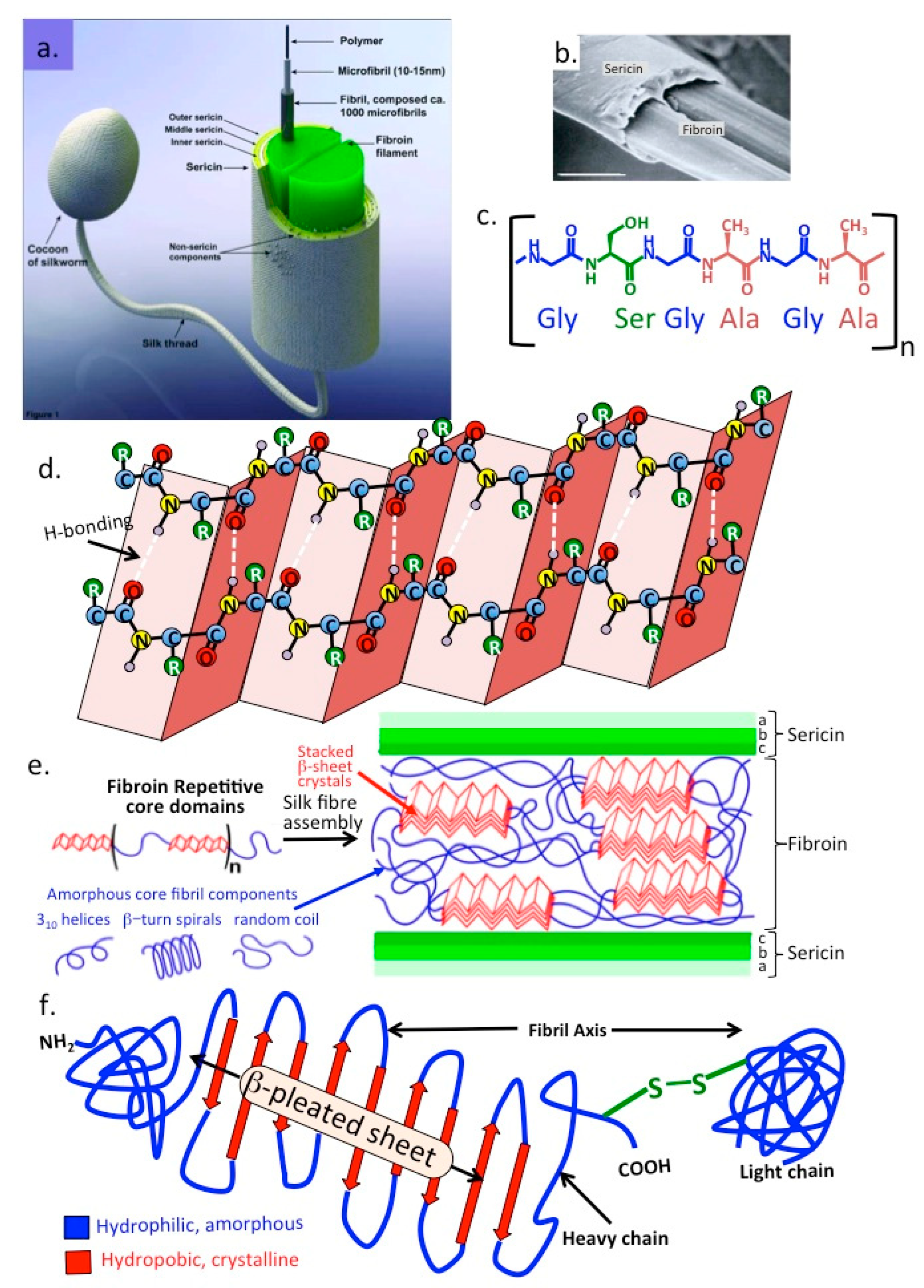 Molecules 27 08982 g007