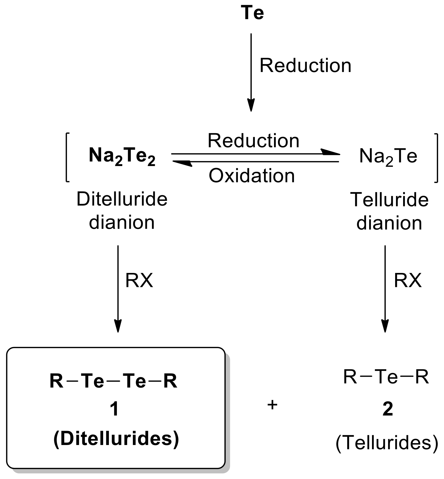 Molecules 27 08991 sch002