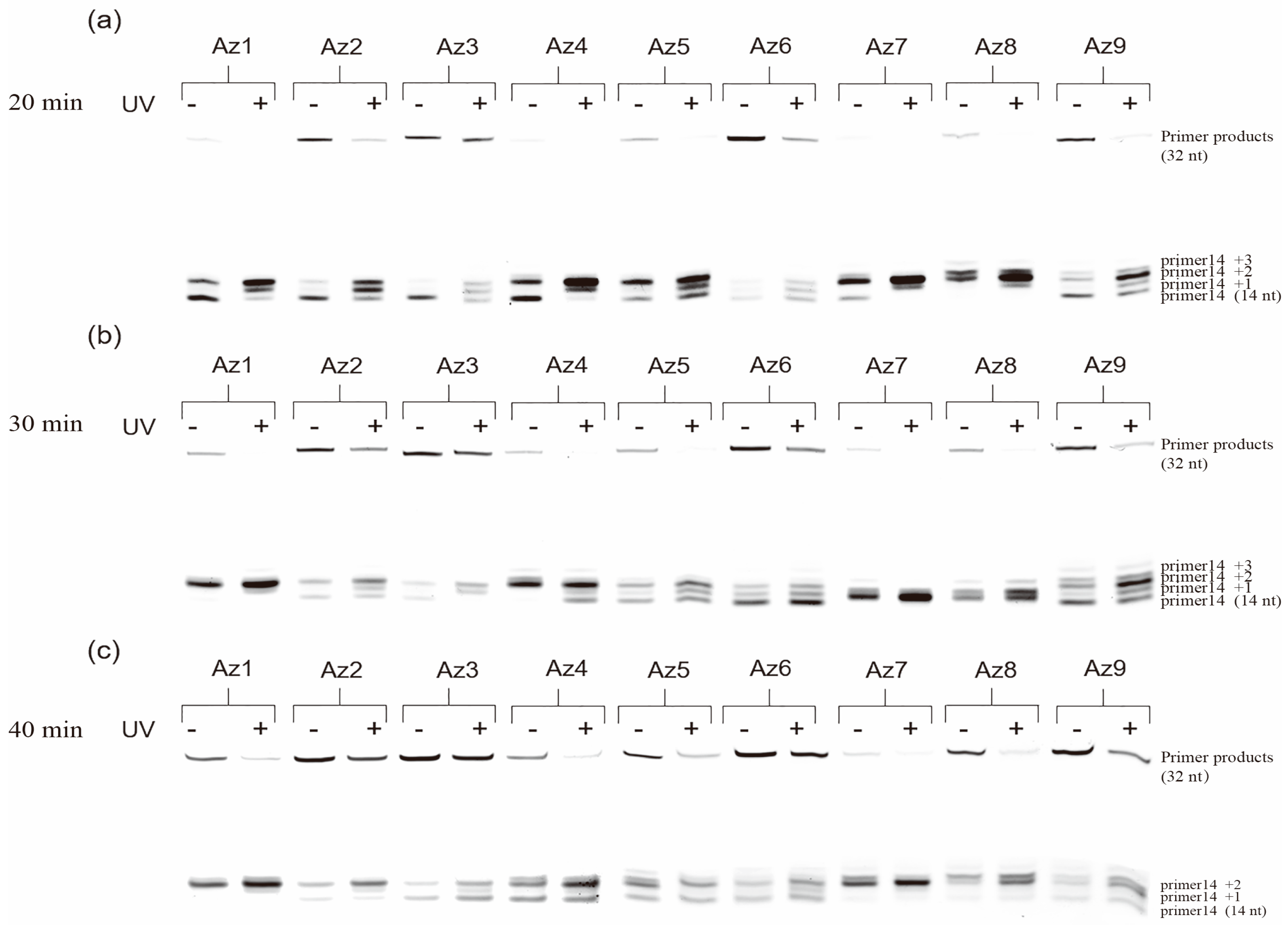 Molecules 27 08992 g003
