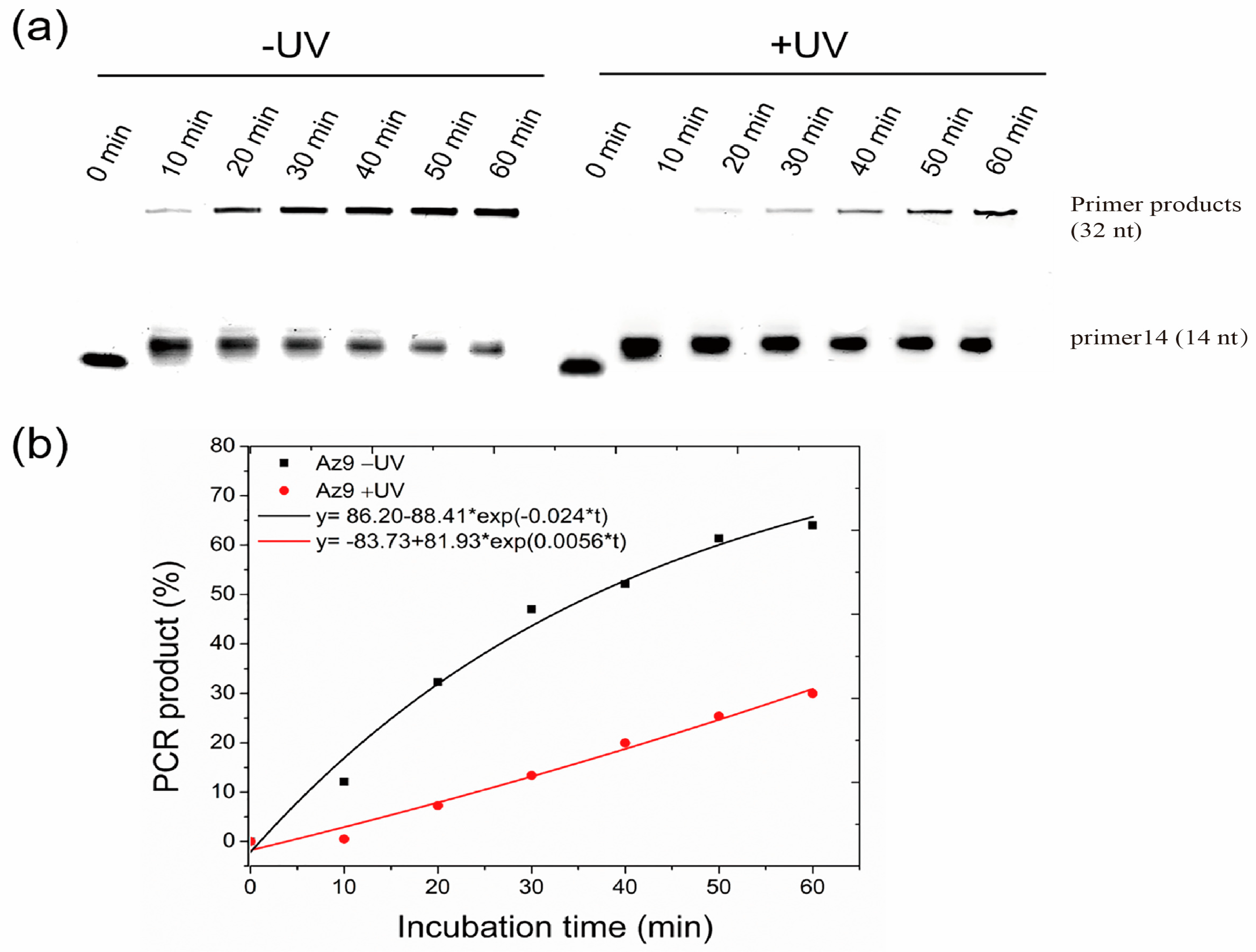 Molecules 27 08992 g006