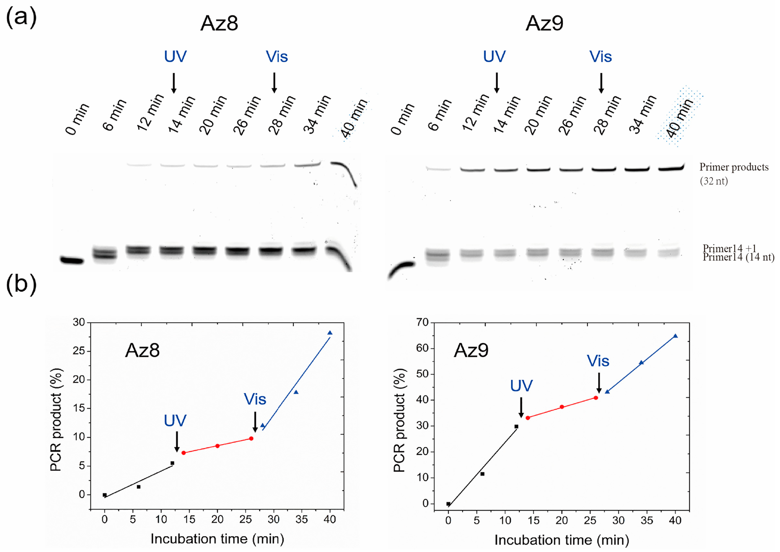 Molecules 27 08992 g007