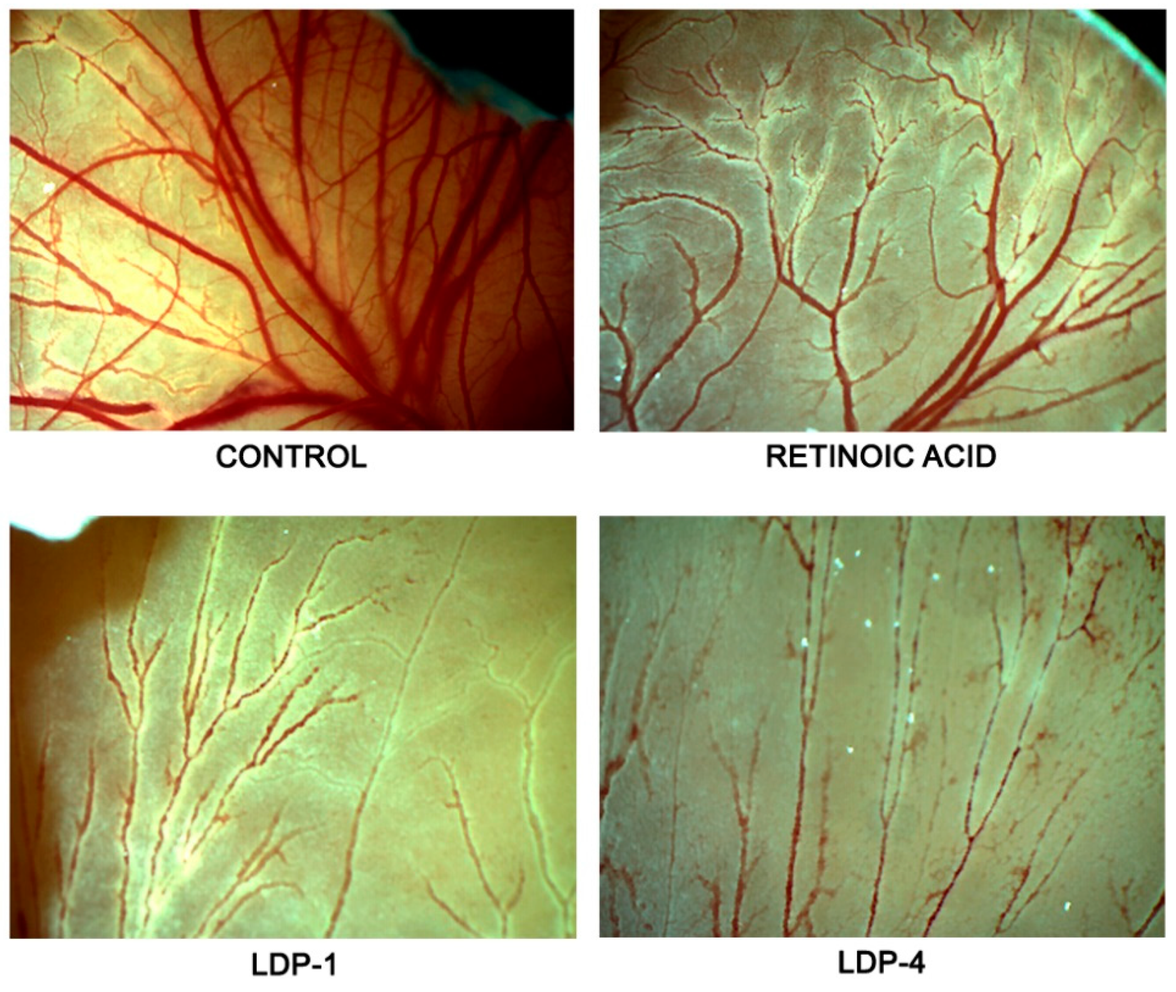 Molecules 27 09000 g005