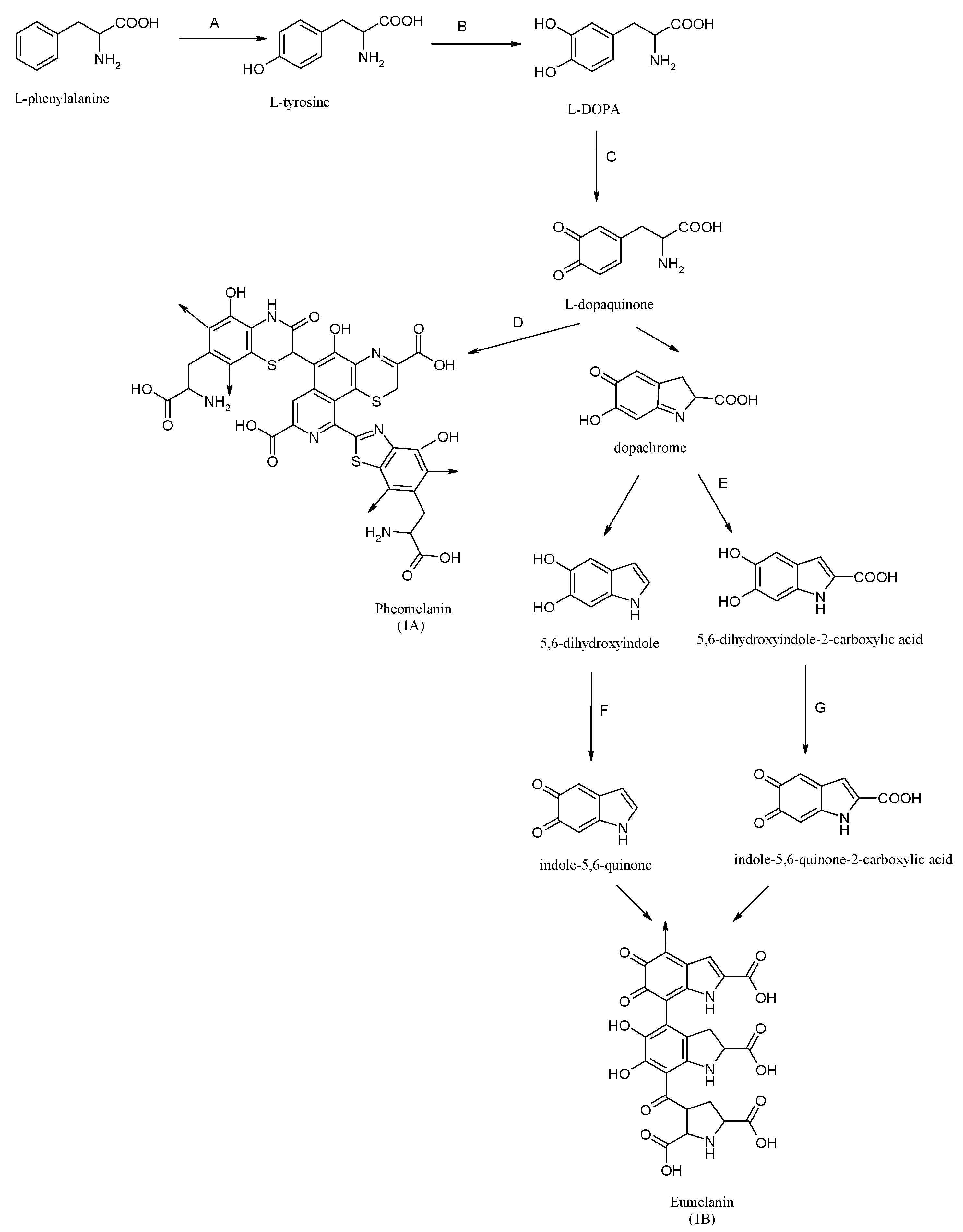 Molecules 27 09011 g001