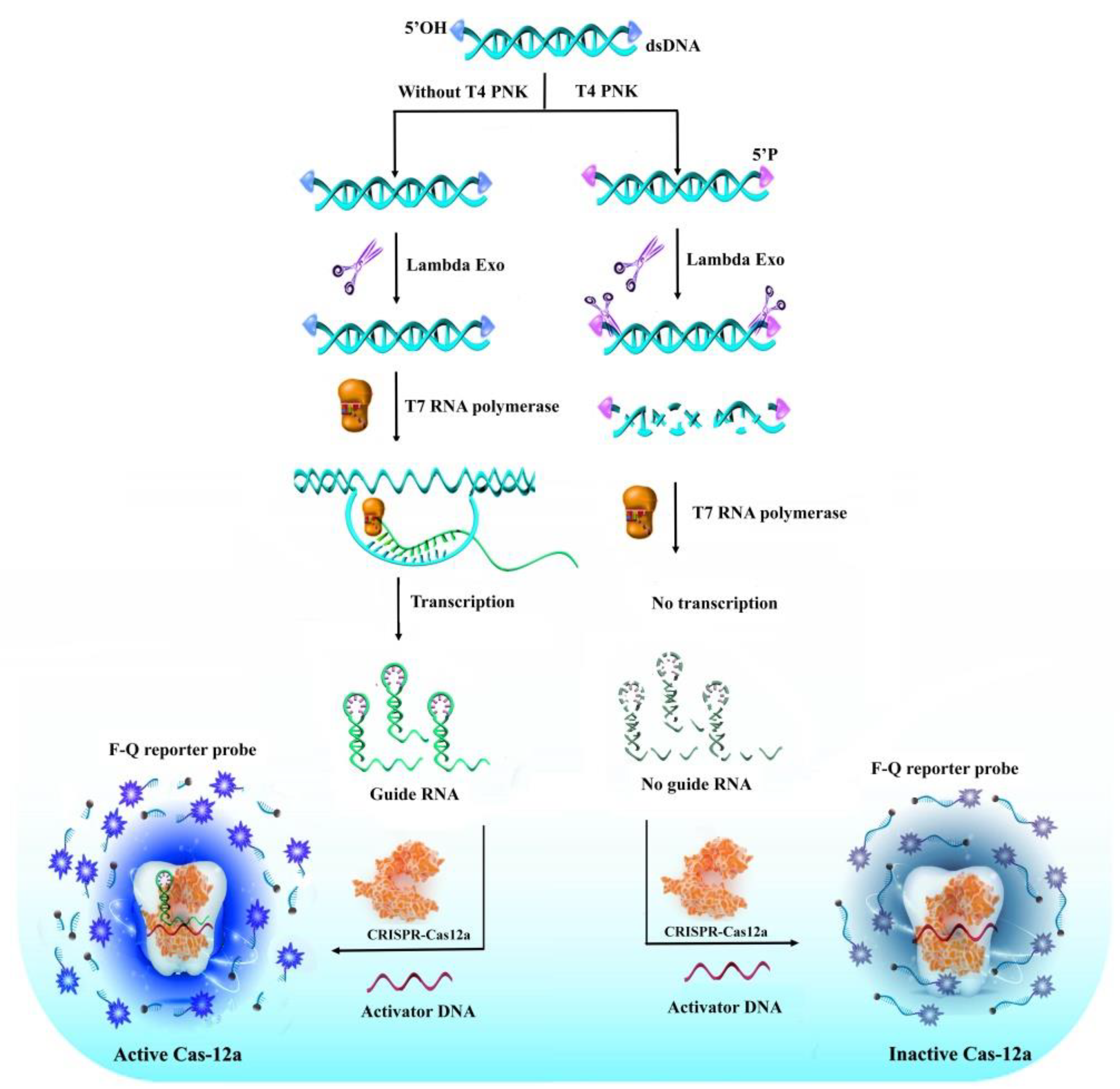 Molecules 27 09019 g001 Molecules 27 09019 g001
