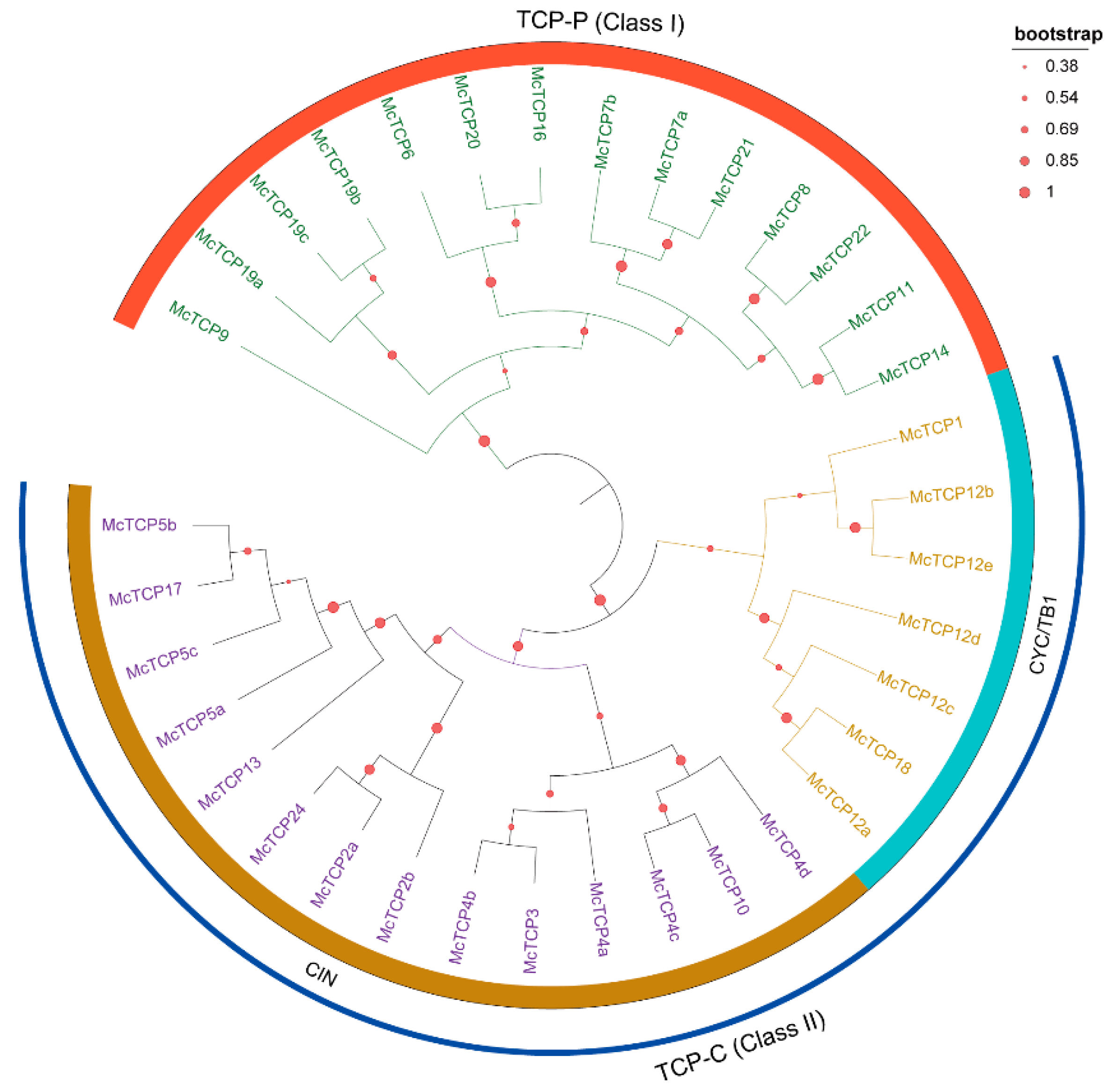 Molecules 27 09036 g002 Molecules 27 09036 g002