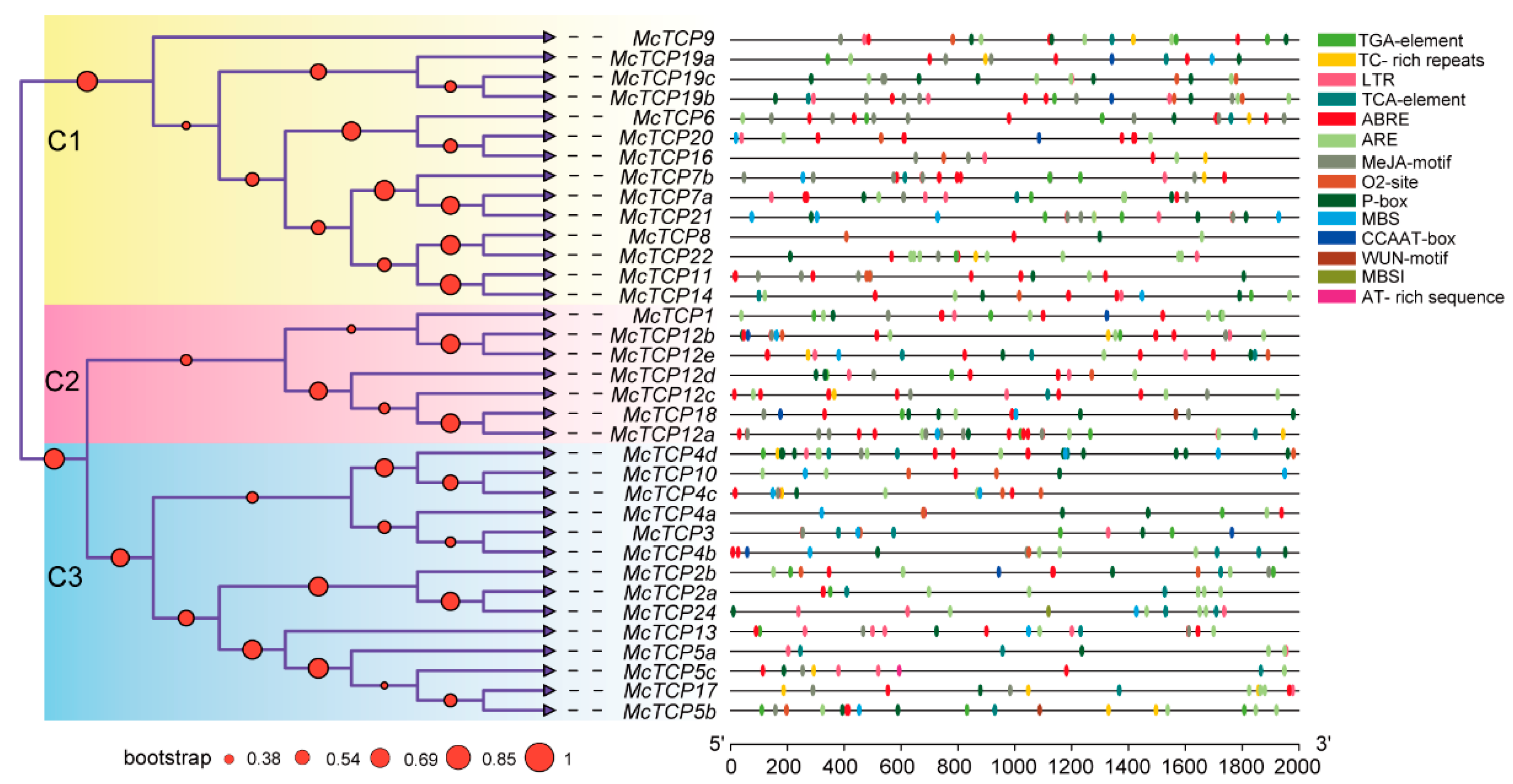 Molecules 27 09036 g004 Molecules 27 09036 g004