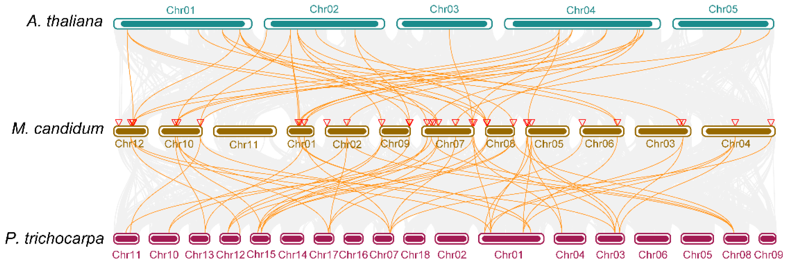 Molecules 27 09036 g008 Molecules 27 09036 g008