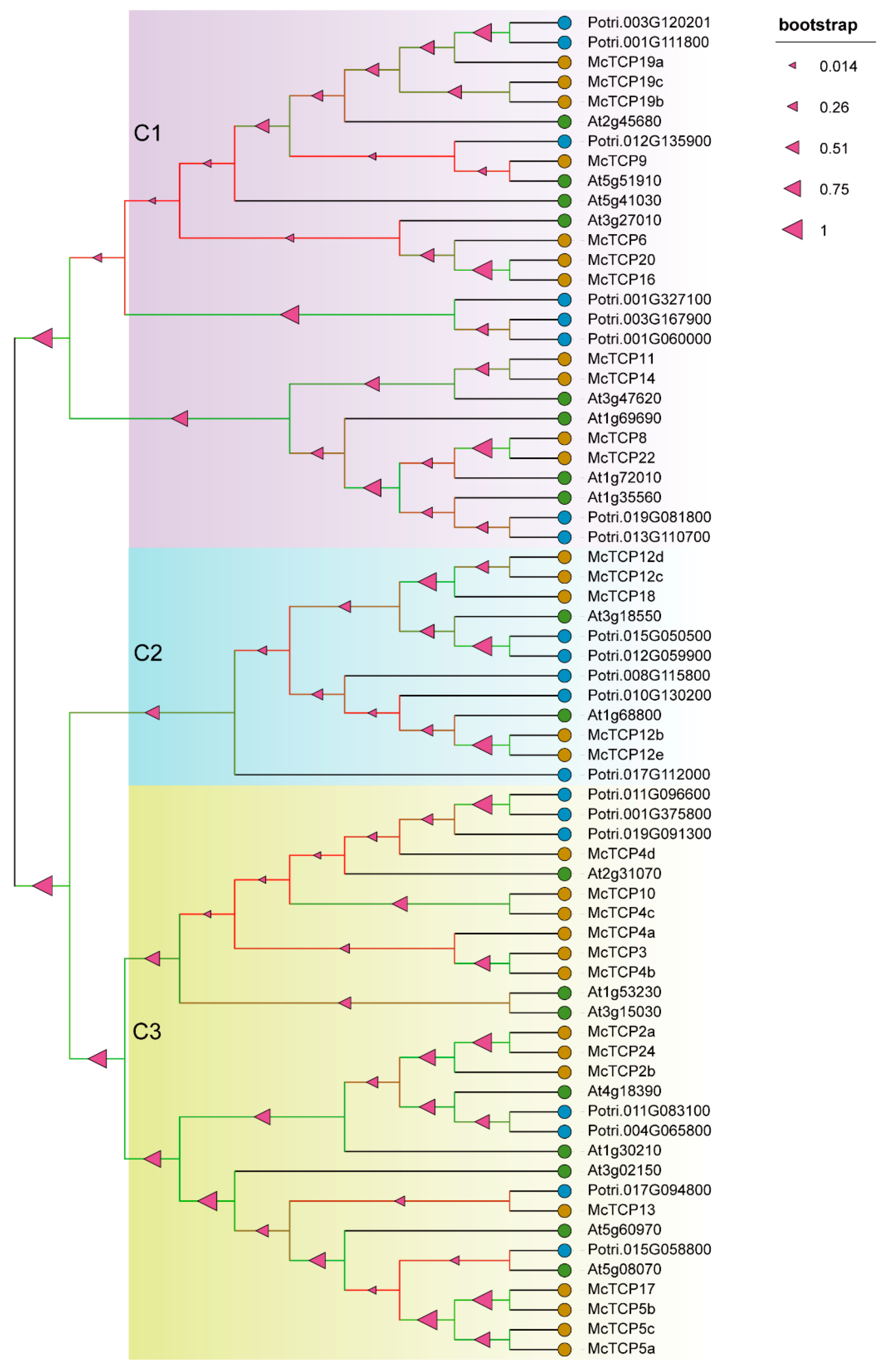 Molecules 27 09036 g009 Molecules 27 09036 g009