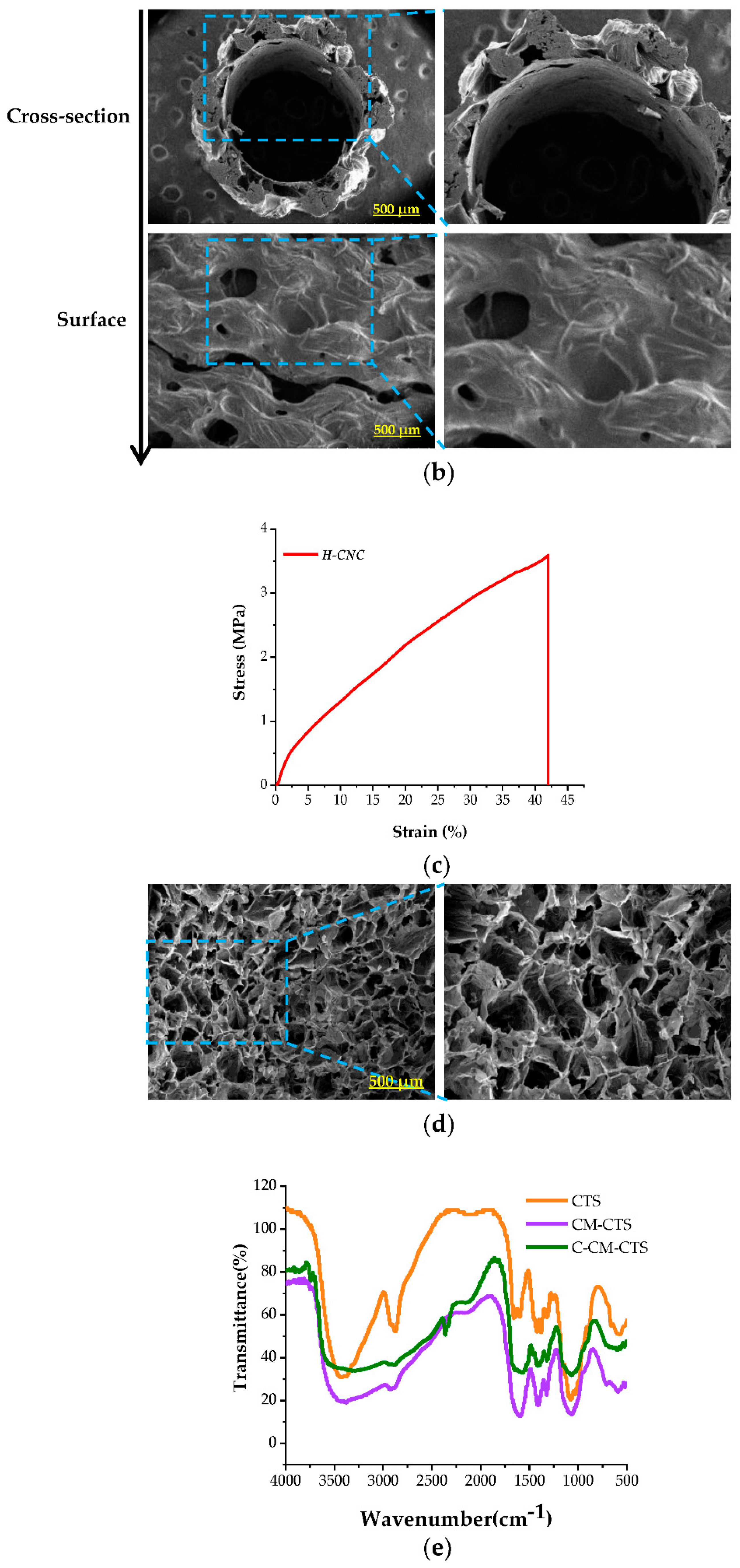 Molecules 27 09039 g001b