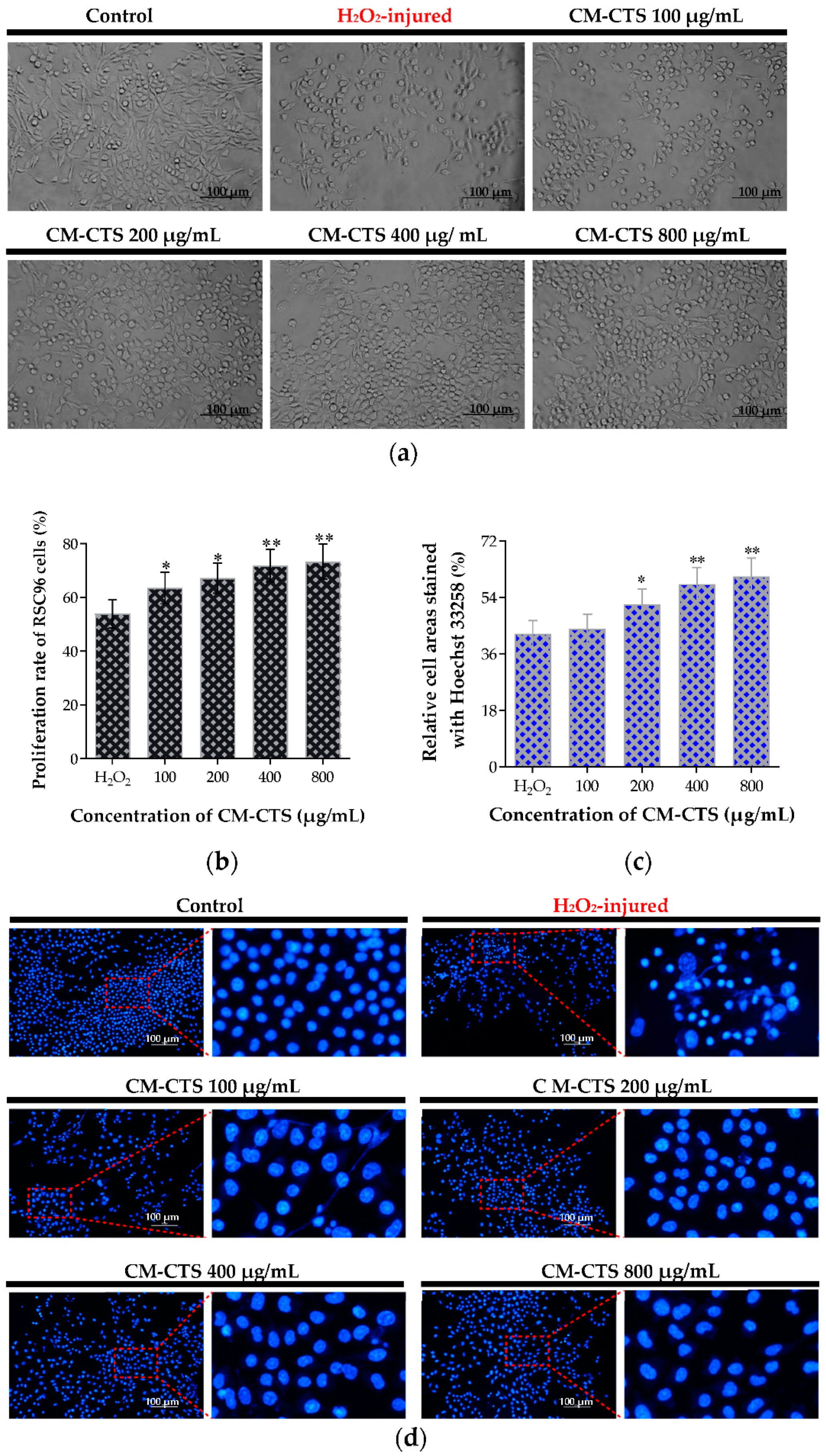 Molecules 27 09039 g003