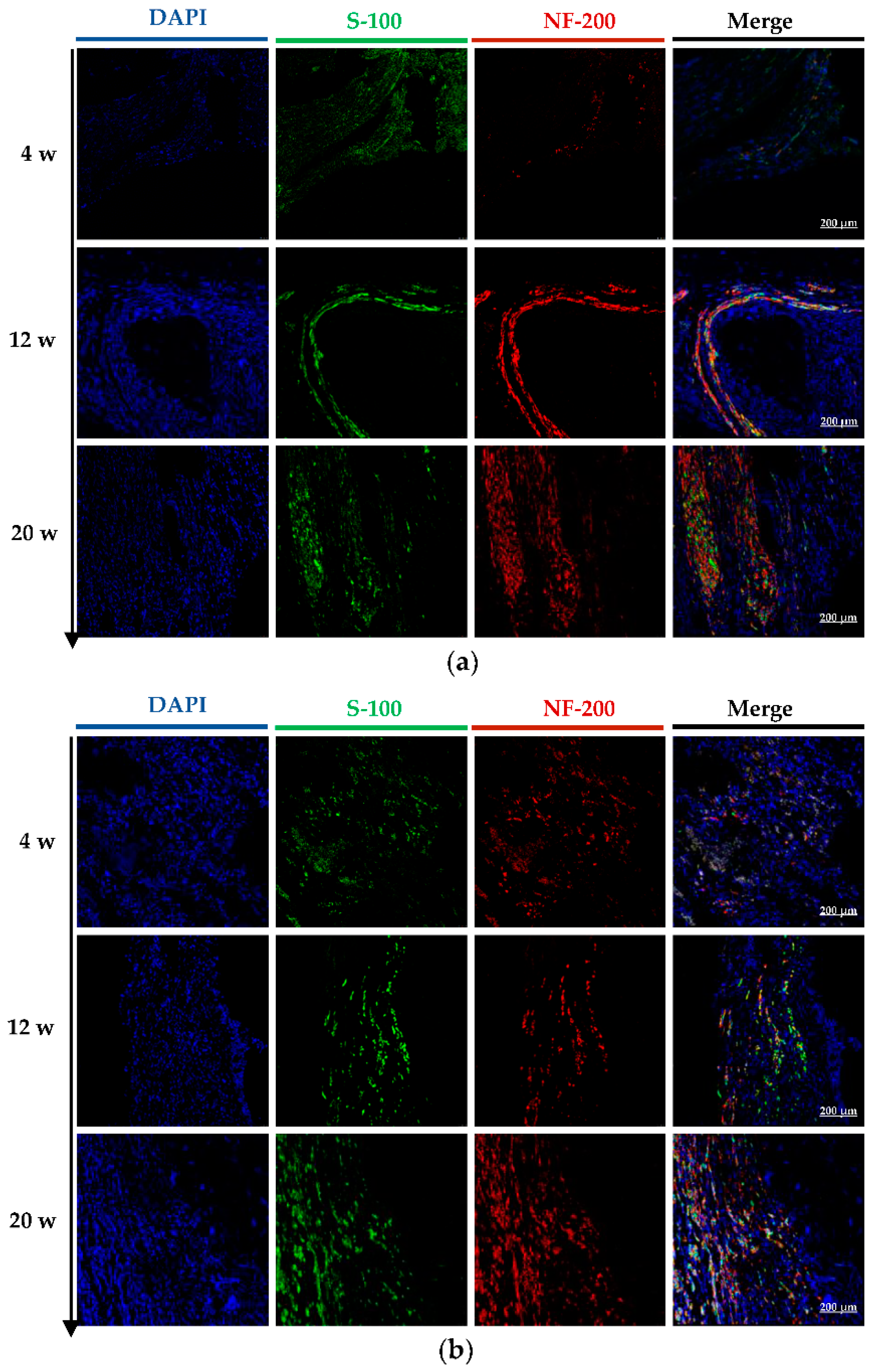 Molecules 27 09039 g006a