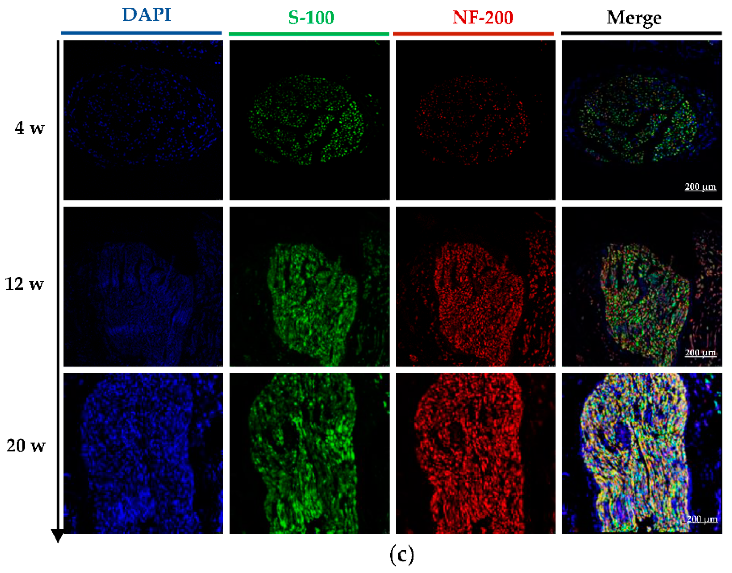 Molecules 27 09039 g006b